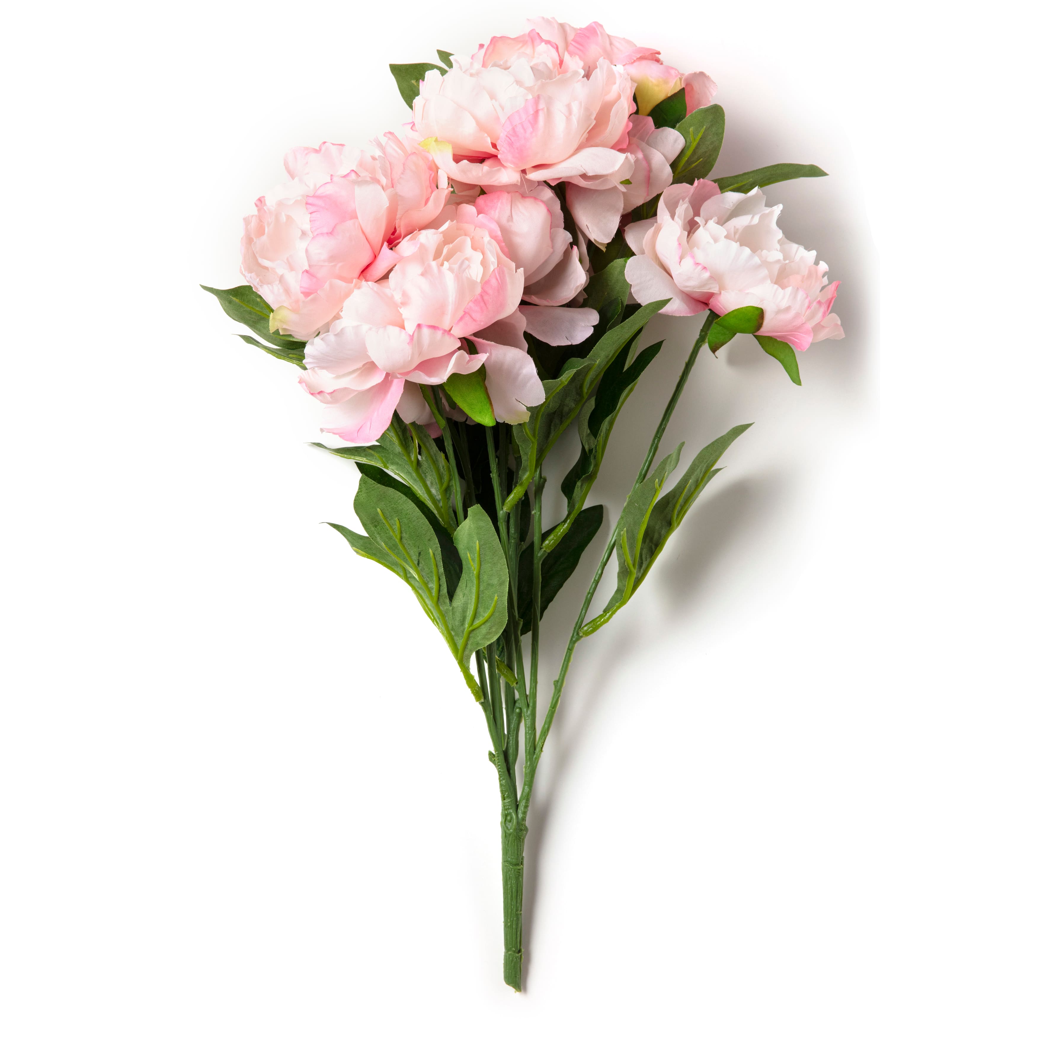 Pink Peony Bush by Ashland® | Floral Bushes | Michaels