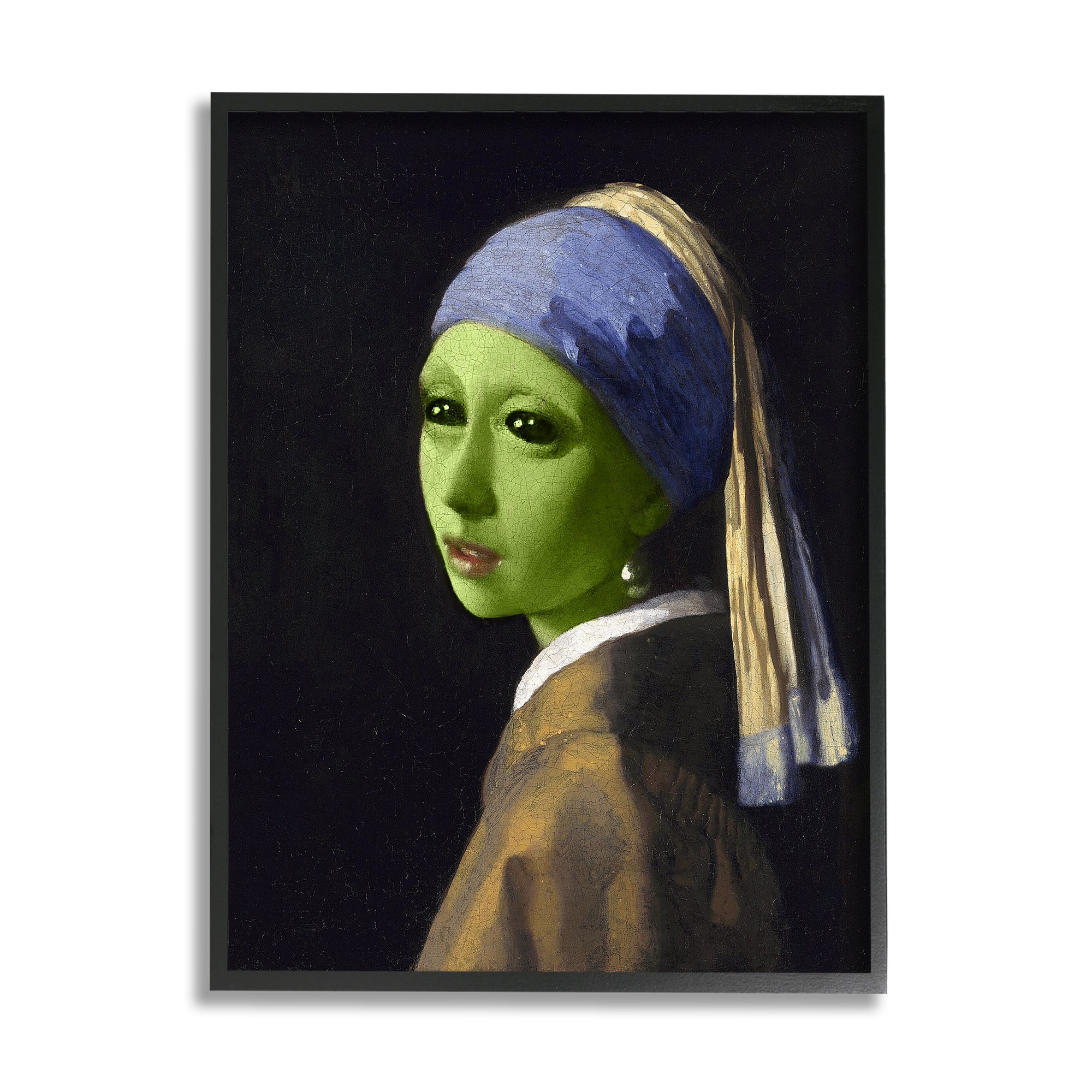 Stupell Industries Girl with Pearl Earring Alien Framed Giclee Art
