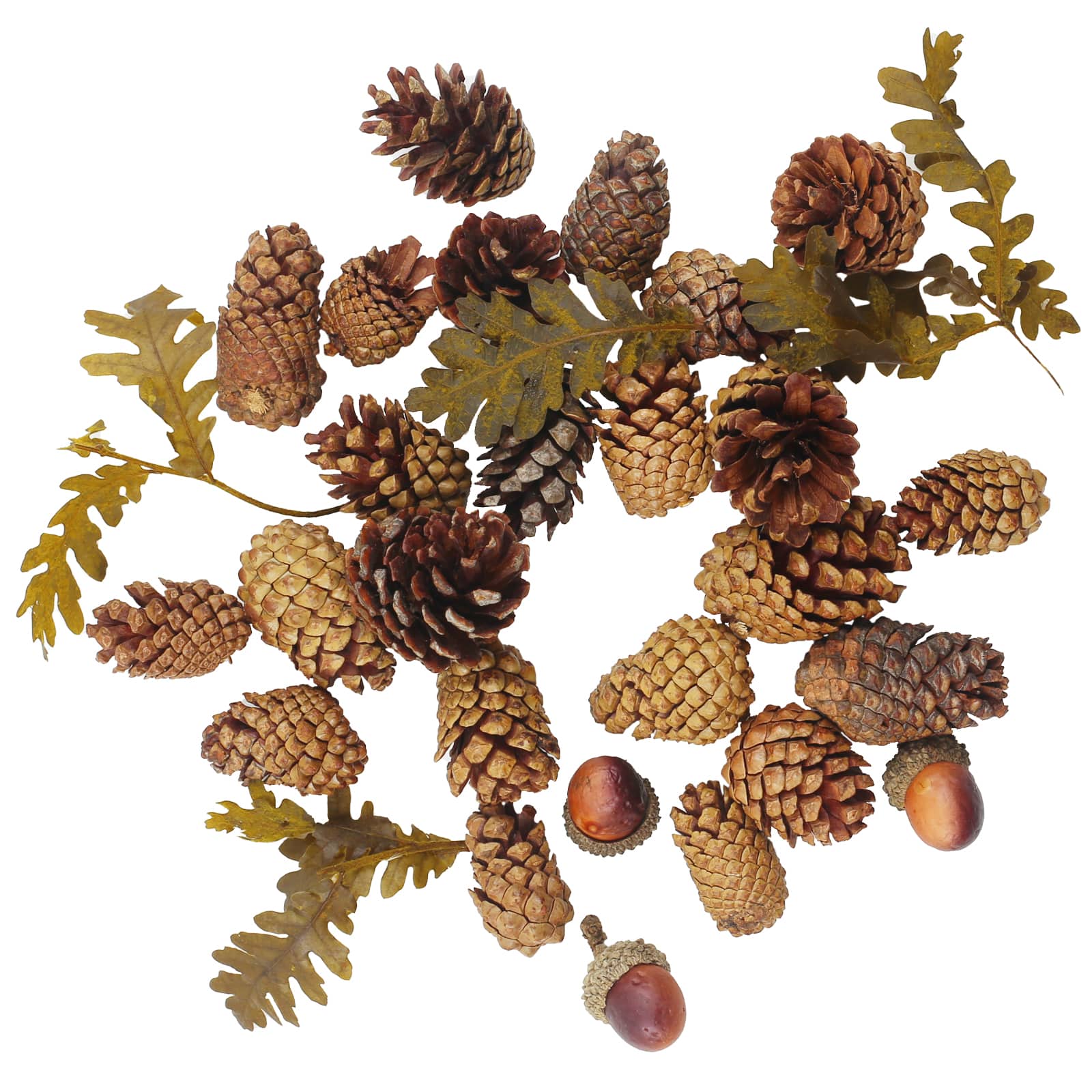 Pecan Caramel Scented Pinecone &#x26; Acorn Filler by Ashland&#xAE;