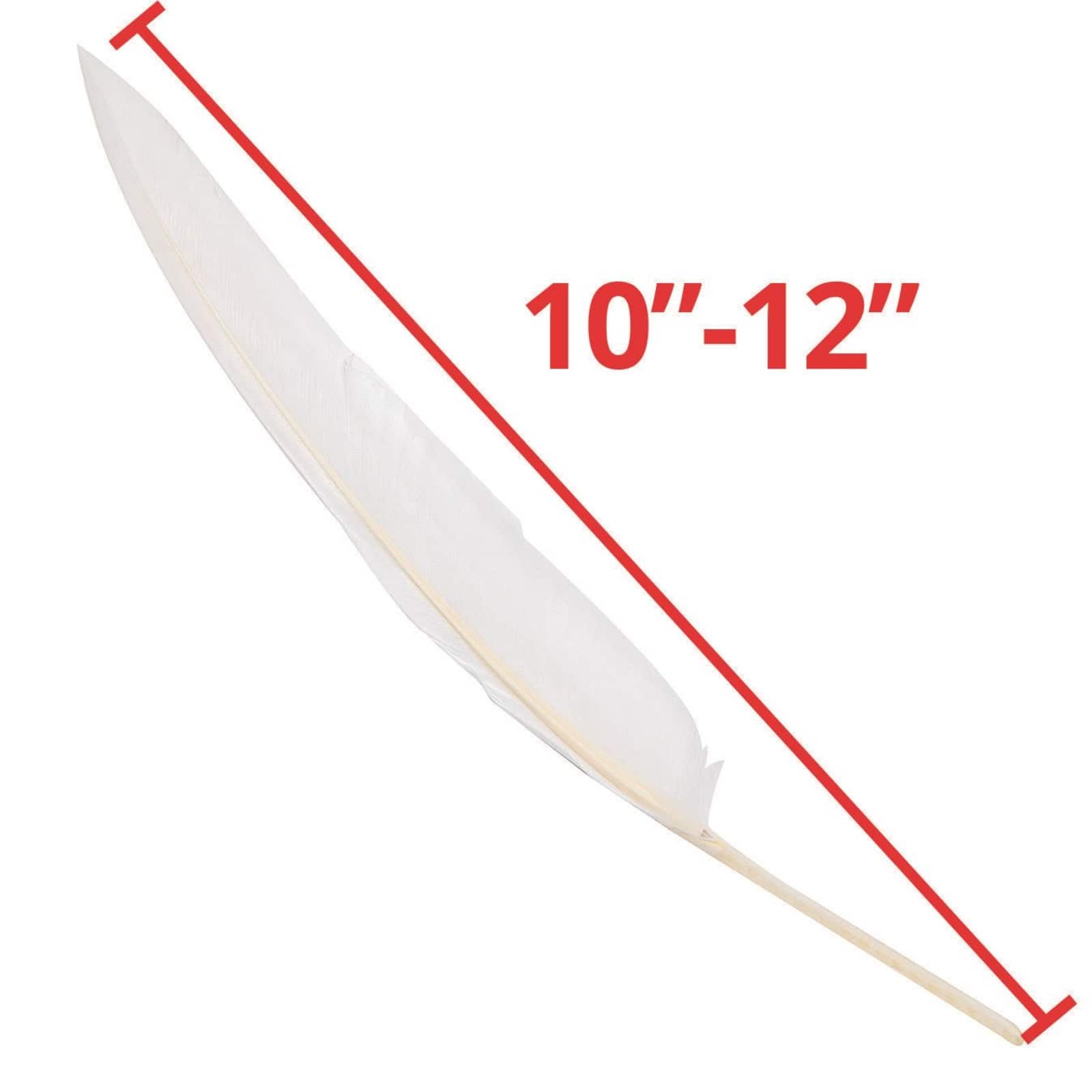 S&S® Worldwide White Long Quill Feathers, 144ct.