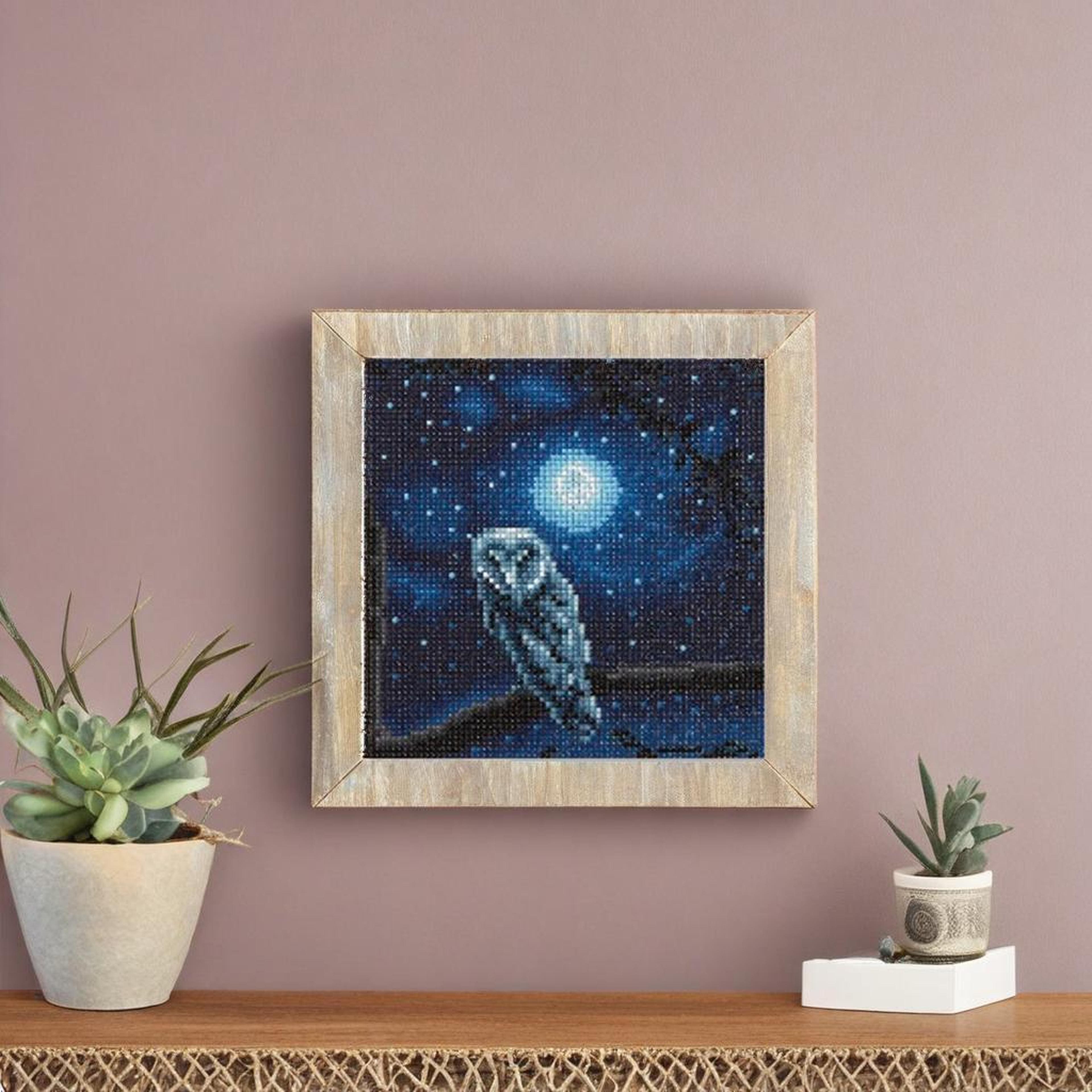 Night Owl Painting Diamond Art Kit by Make Market&#xAE;