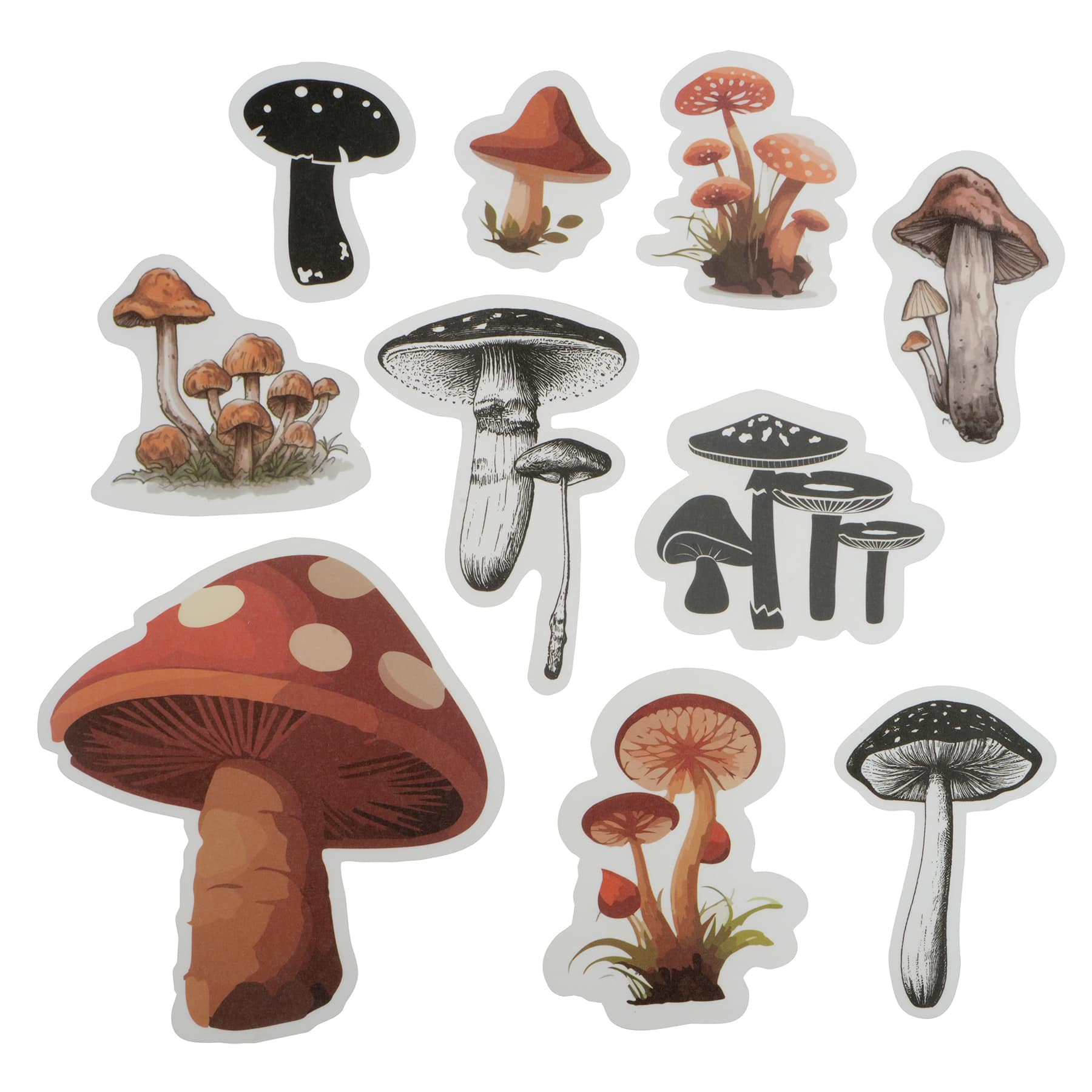 Mushroom Vellum Ephemera by Recollections&#x2122;