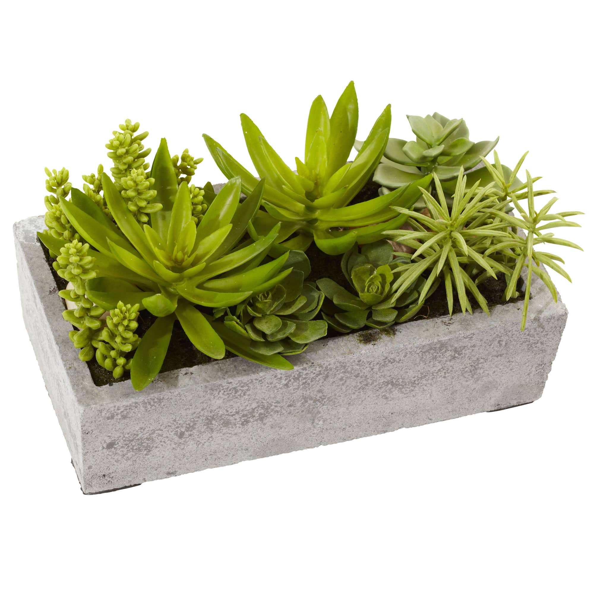 13&#x22; Succulent Garden with Concrete Planter 