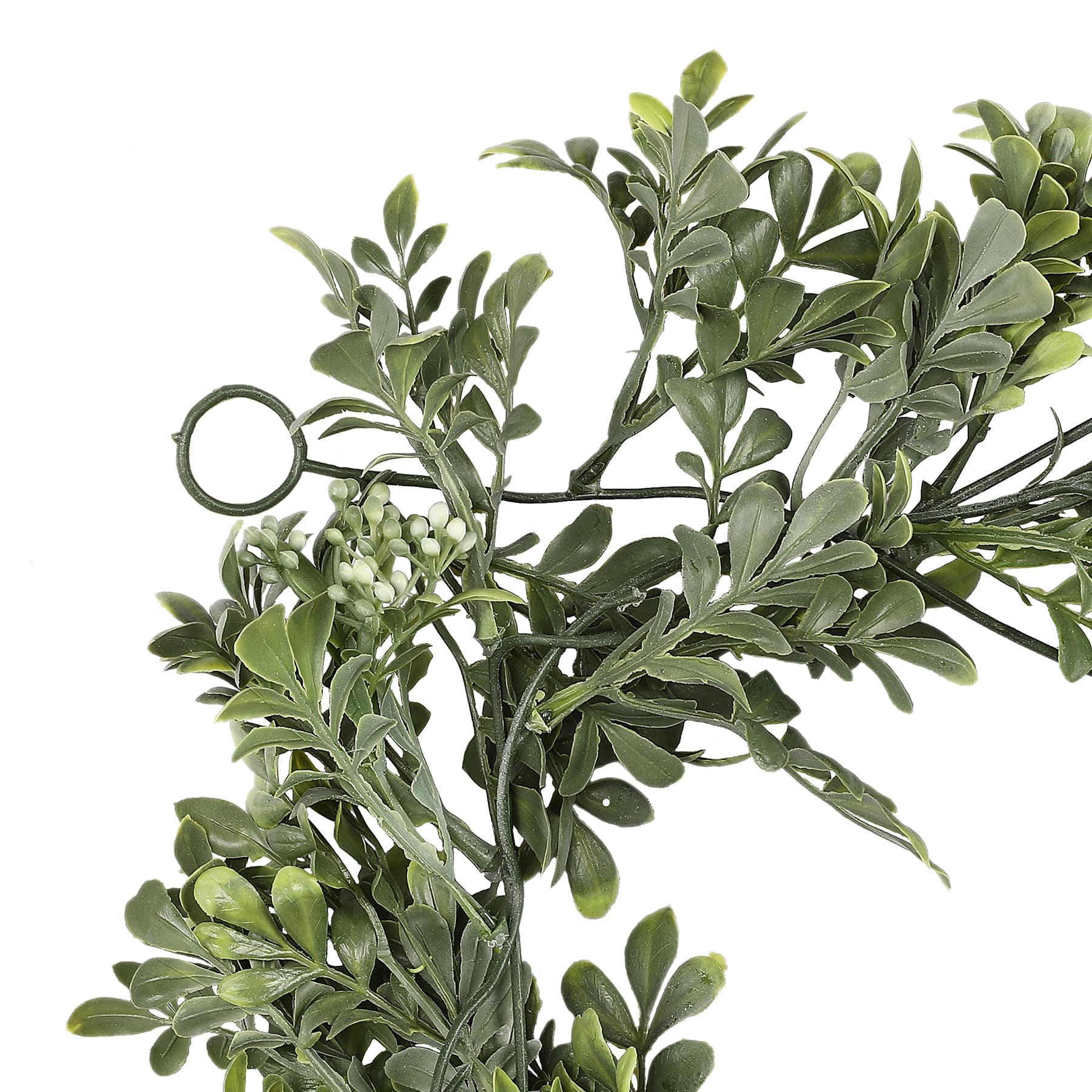 5ft. Green Boxwood Coil Garland by Ashland&#xAE;