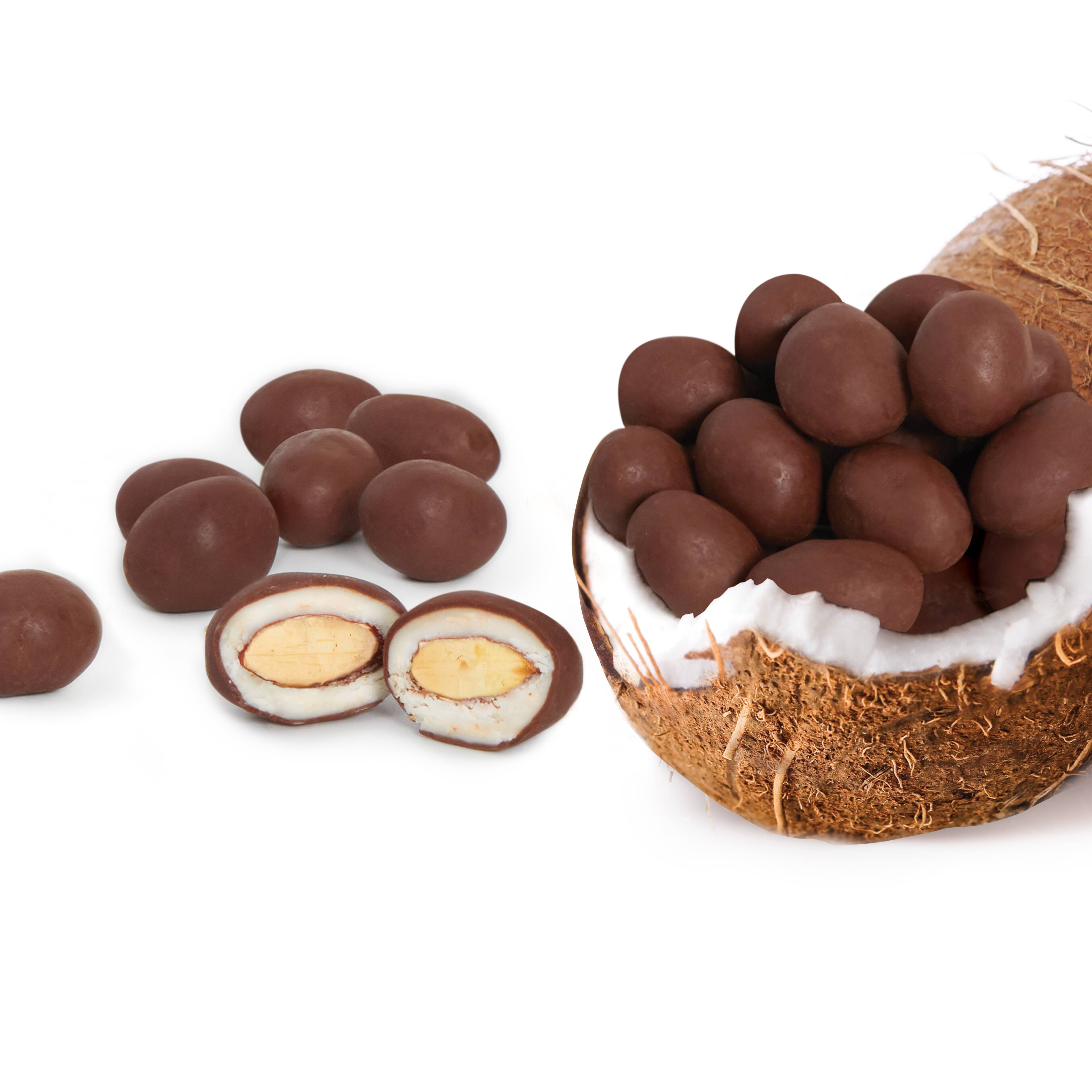 Edward Marc Chocolatier® Coconut Almonds with Dark Chocolate Michaels