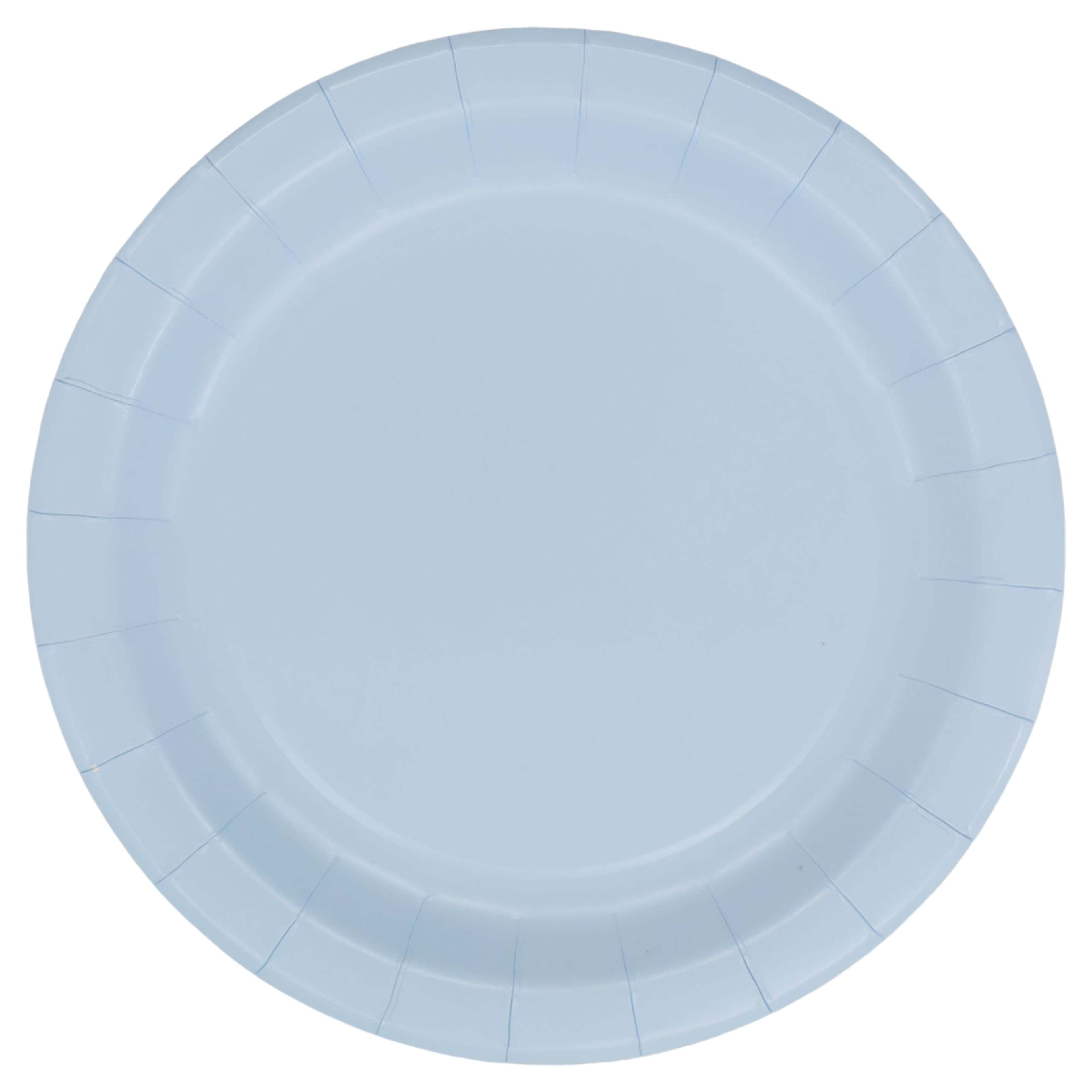 9" Blue Paper Plates, 10ct. by Celebrate It™