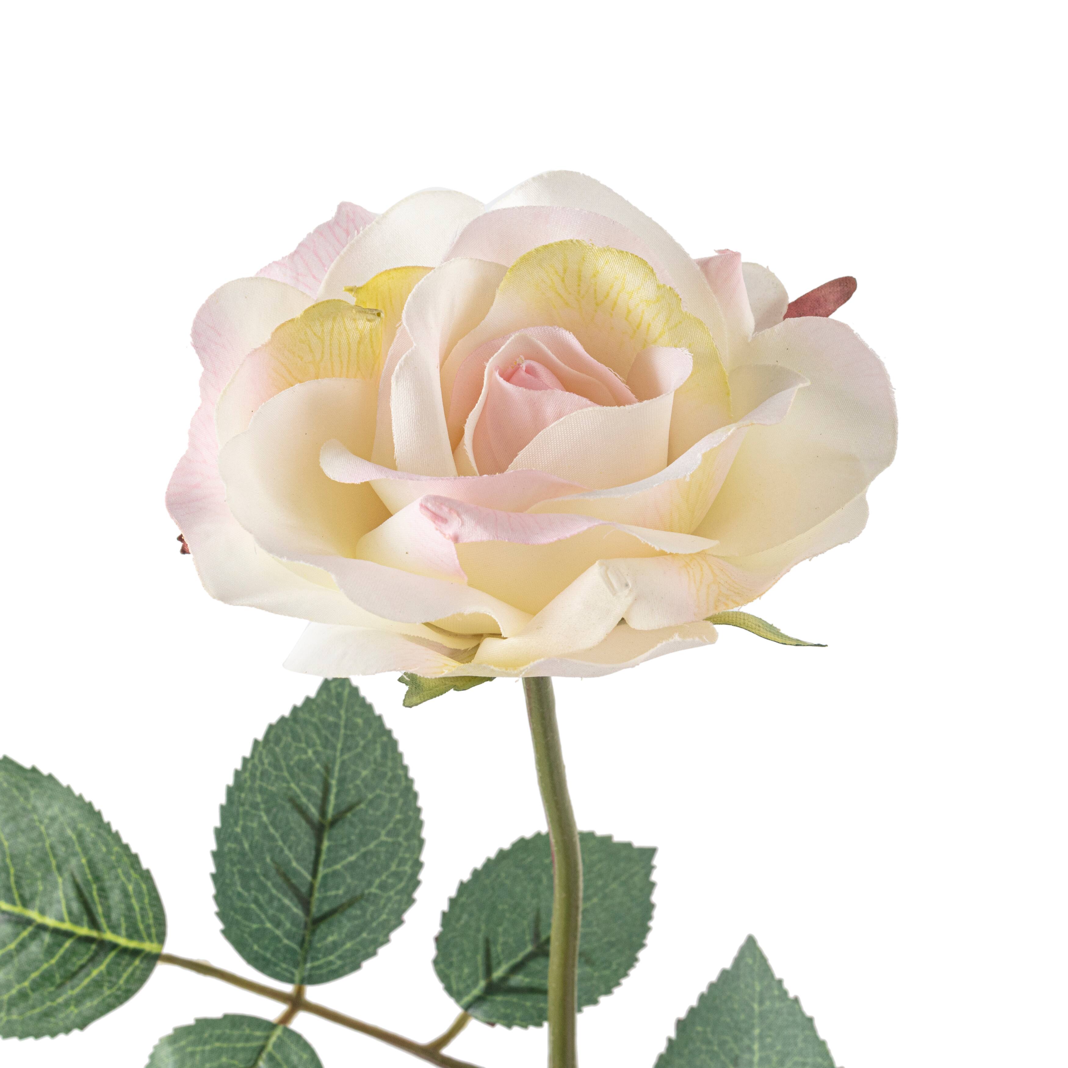 12 Pack: White Princess Rose Stem by Ashland&#xAE;