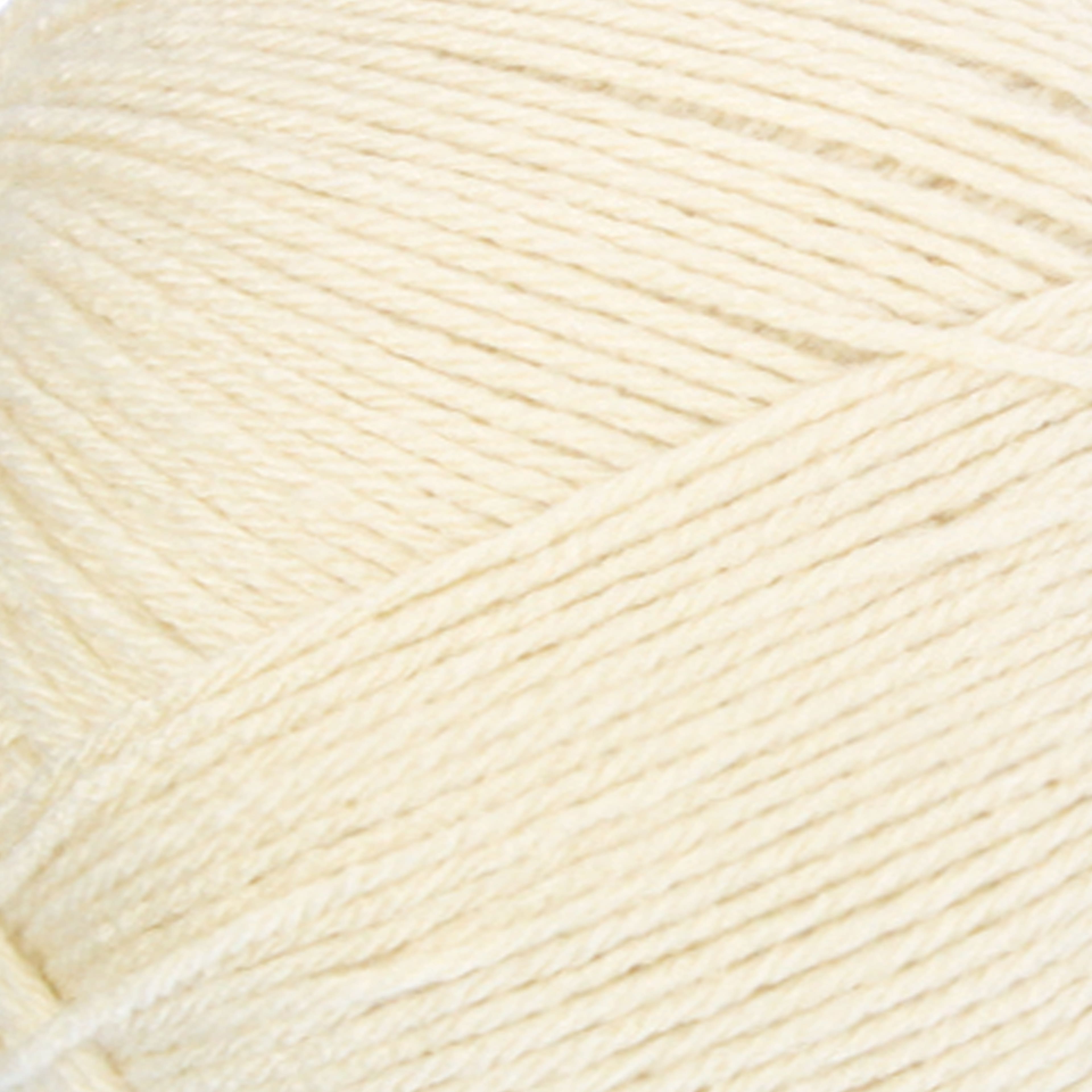 Big Twist&#xAE; Value Pound+ Yarn