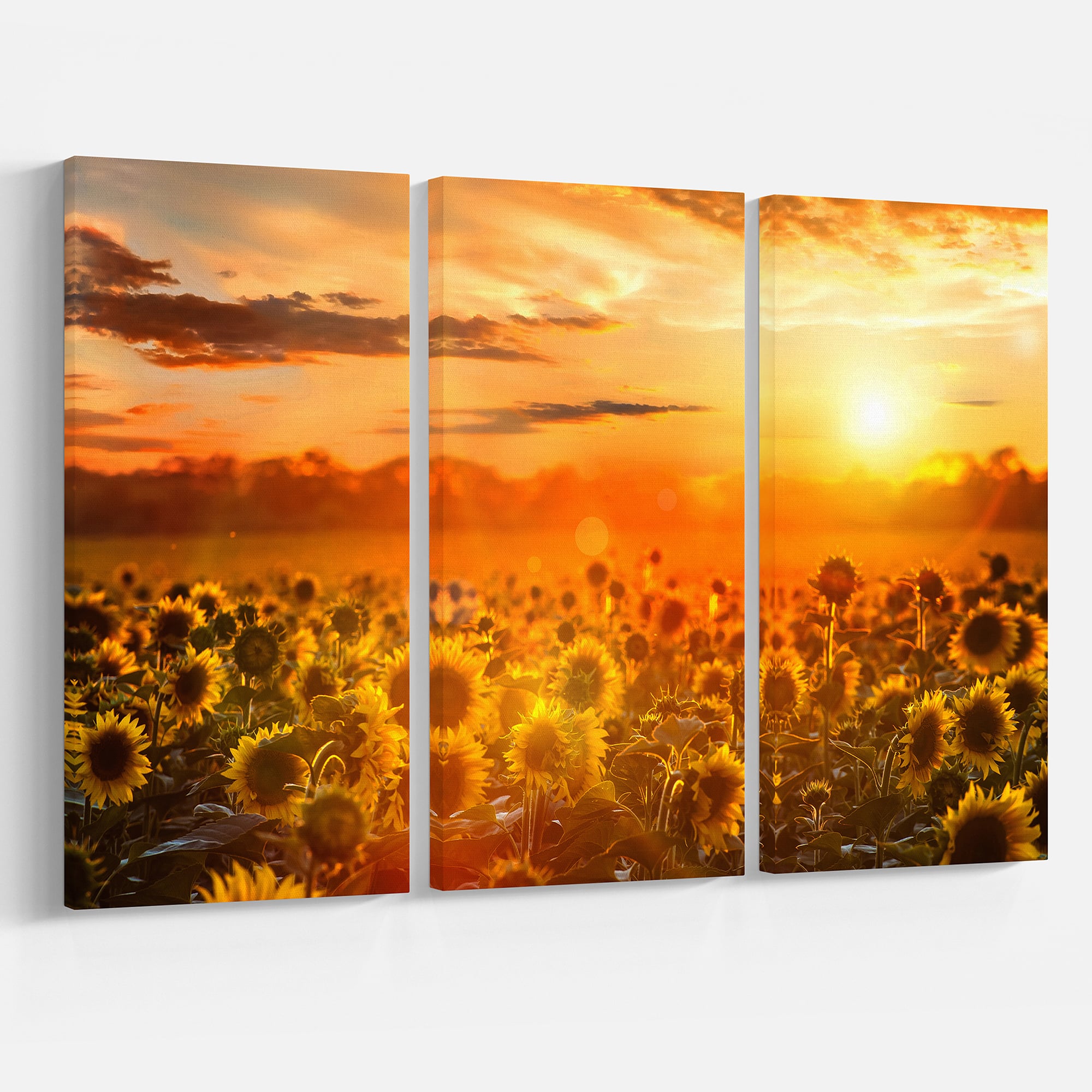 Designart - Yellow Sunset over Sunflowers - Floral Photography Art