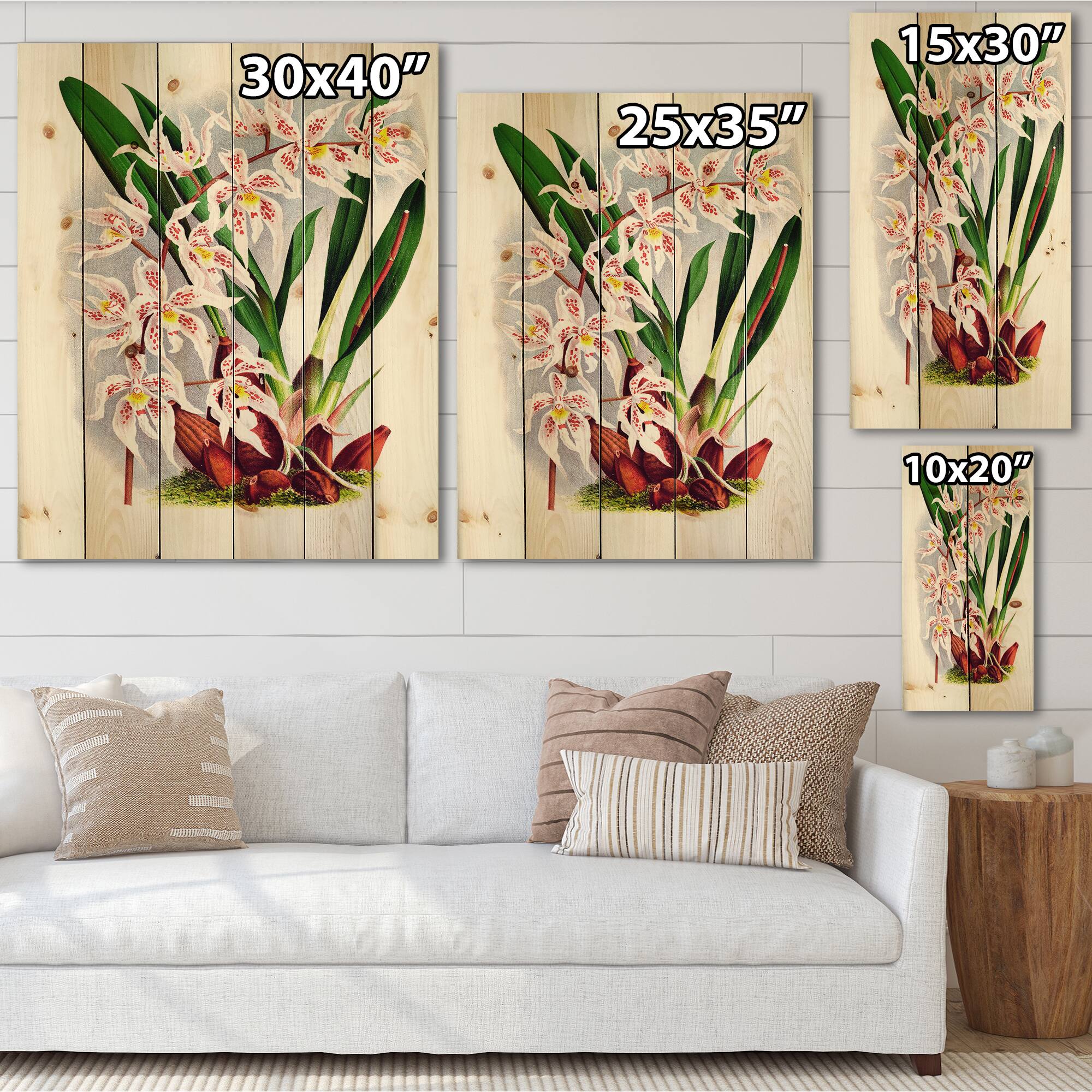 Designart - Vintage White Orchid Flower II - Traditional Print on Natural Pine Wood