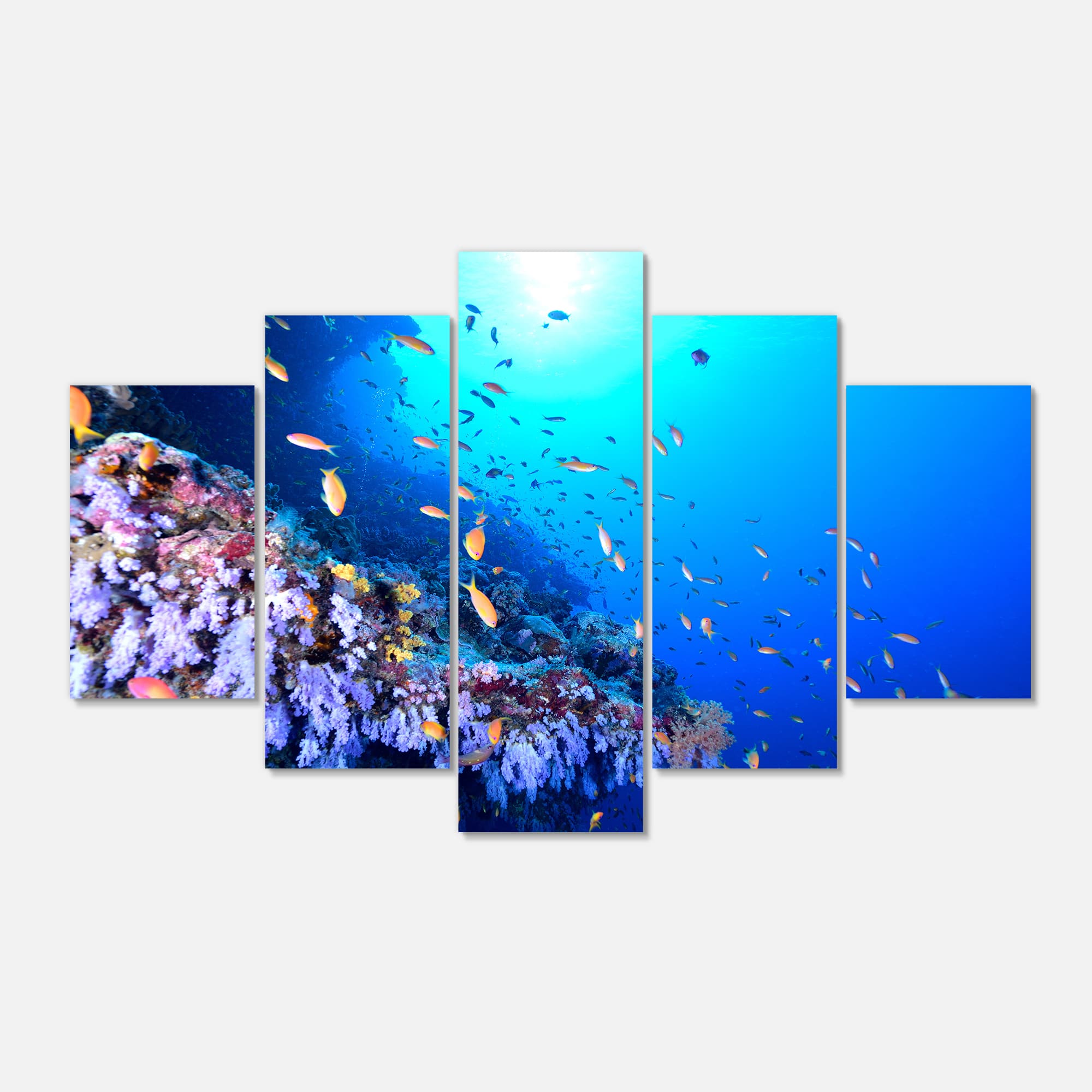 Designart - Coral Reef With Different fish Swimming - Sea & Shore ...