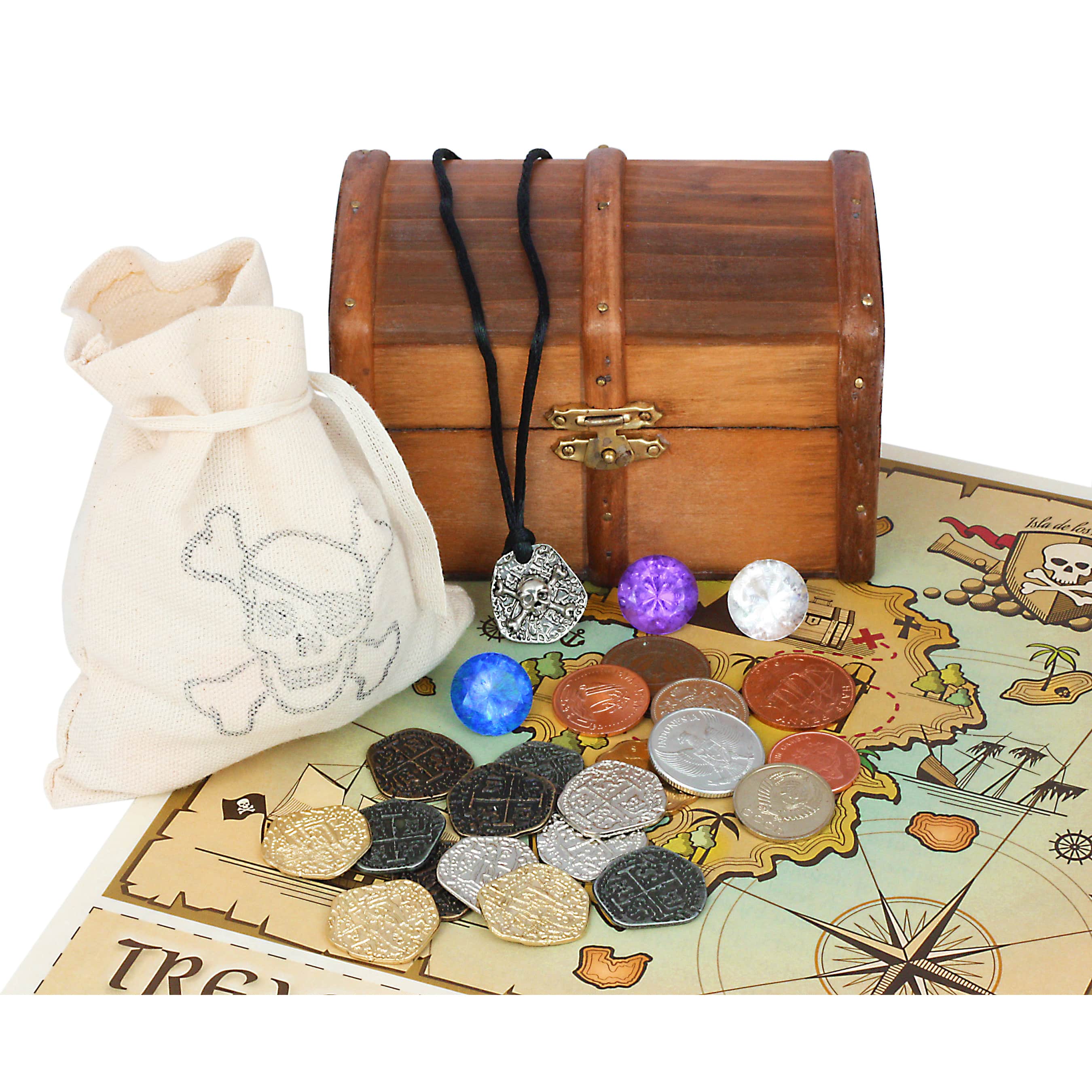 New Pirate Coins & Jewellery Costume Accessory 