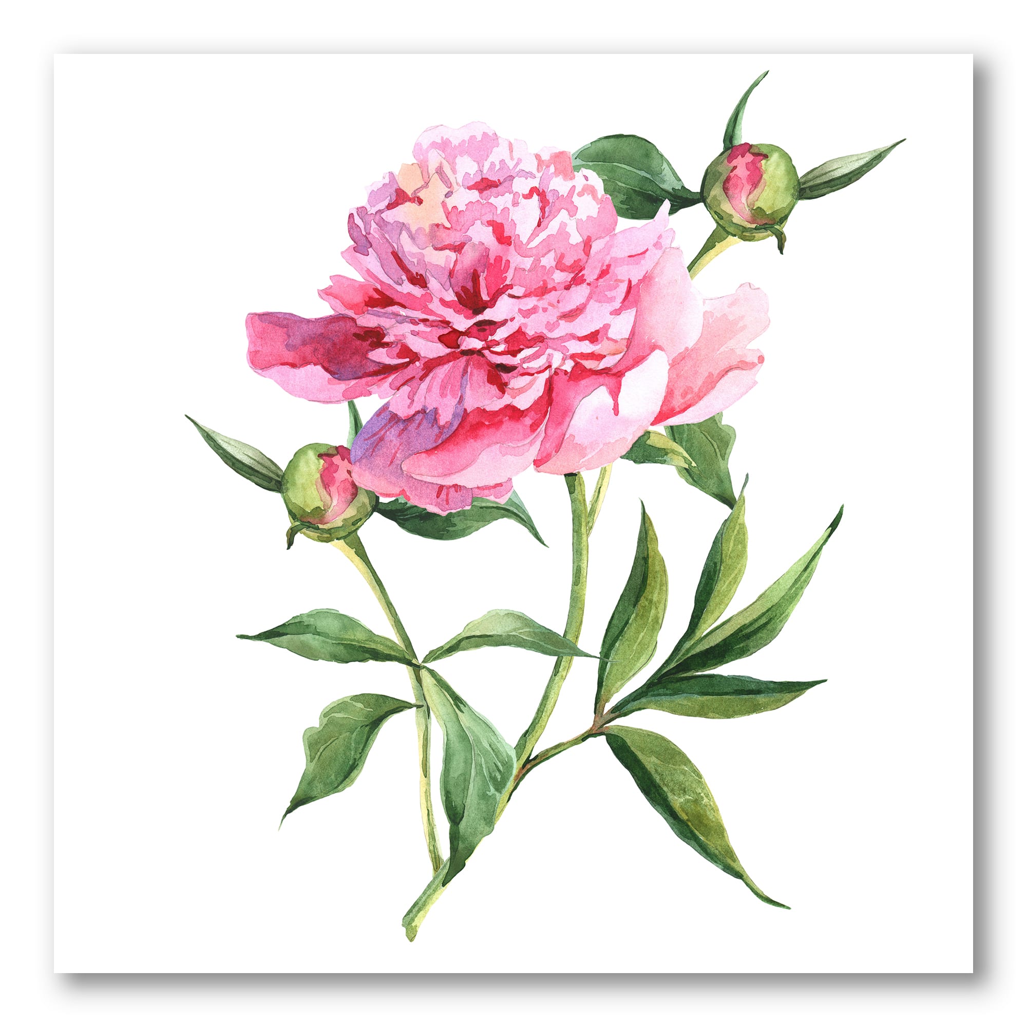 Designart - Vintage Pink Peonies - Traditional Canvas Wall Art Print