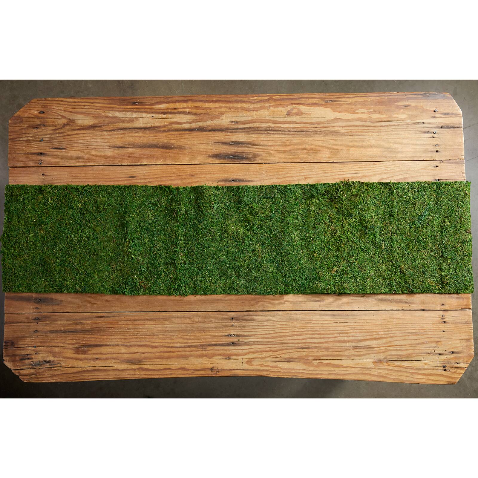12 Pack Moss Table Runner by Ashland® Michaels