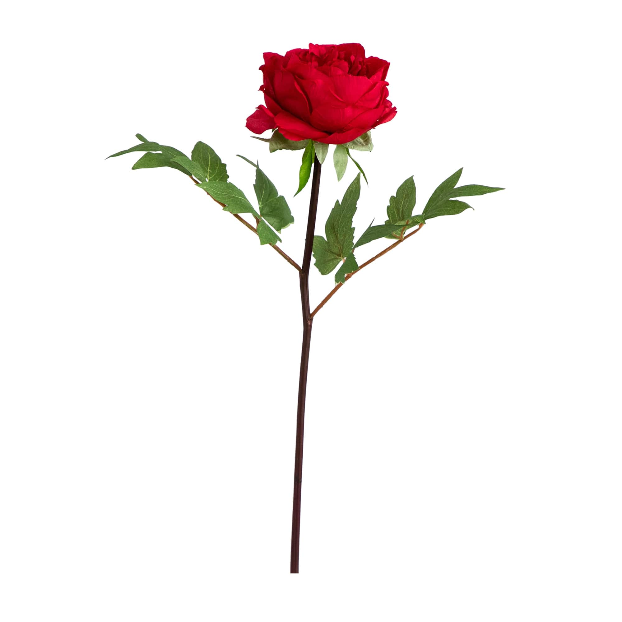 20&#x22; Red Peony Flower Stems, 3ct.