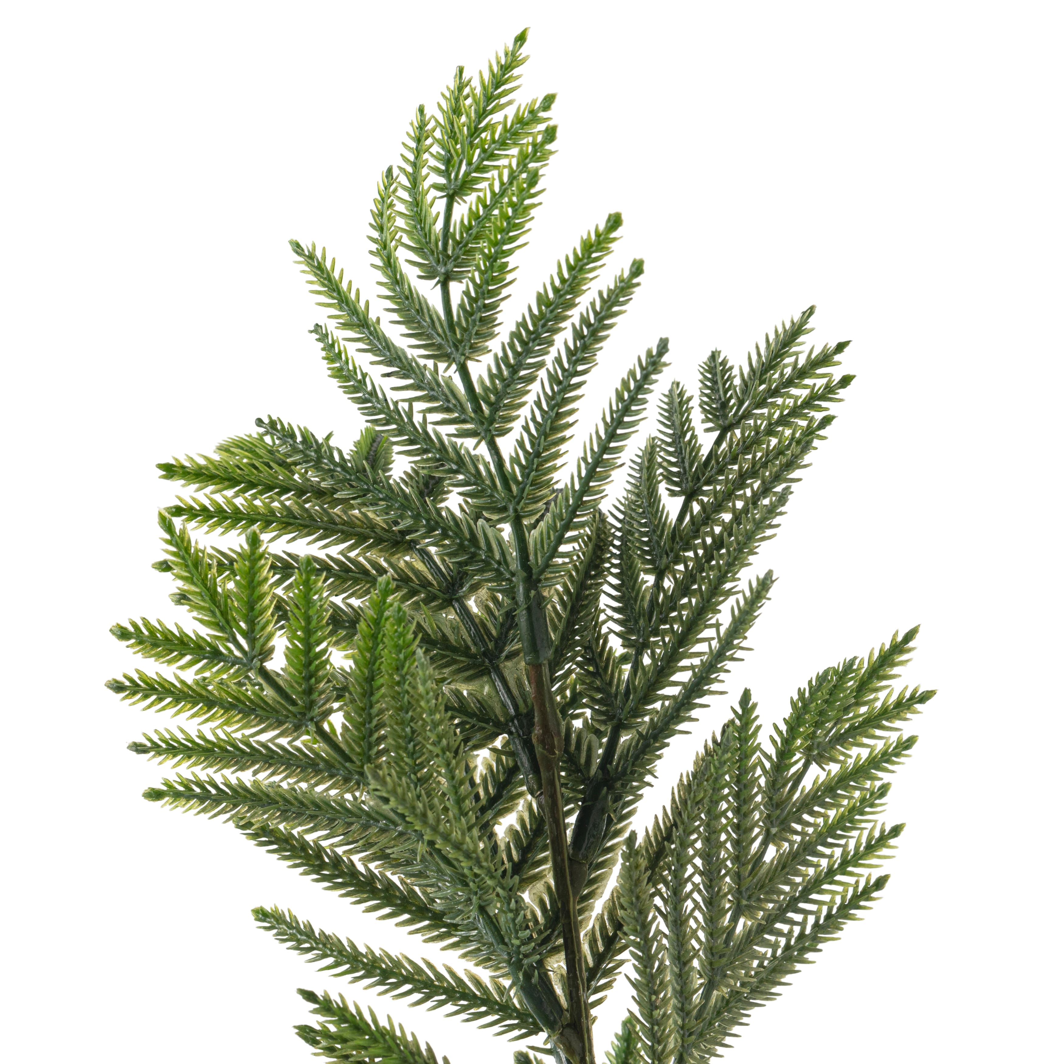 Leather Fern Spray by Ashland®