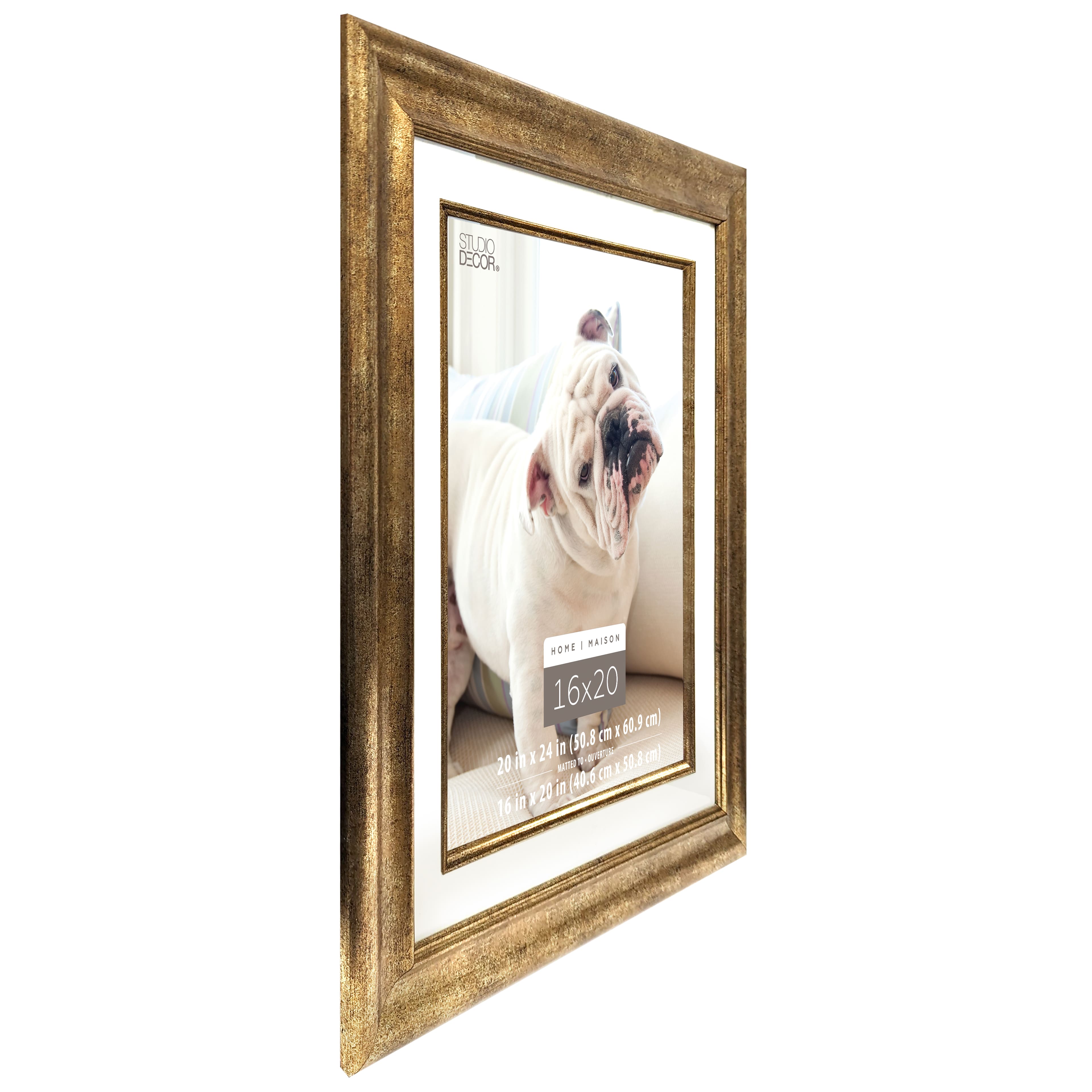 Champagne Frame, 20&#x22; x 24&#x22; With 16&#x22; x 20&#x22; Mat, Home Collection By Studio D&#xE9;cor&#xAE;