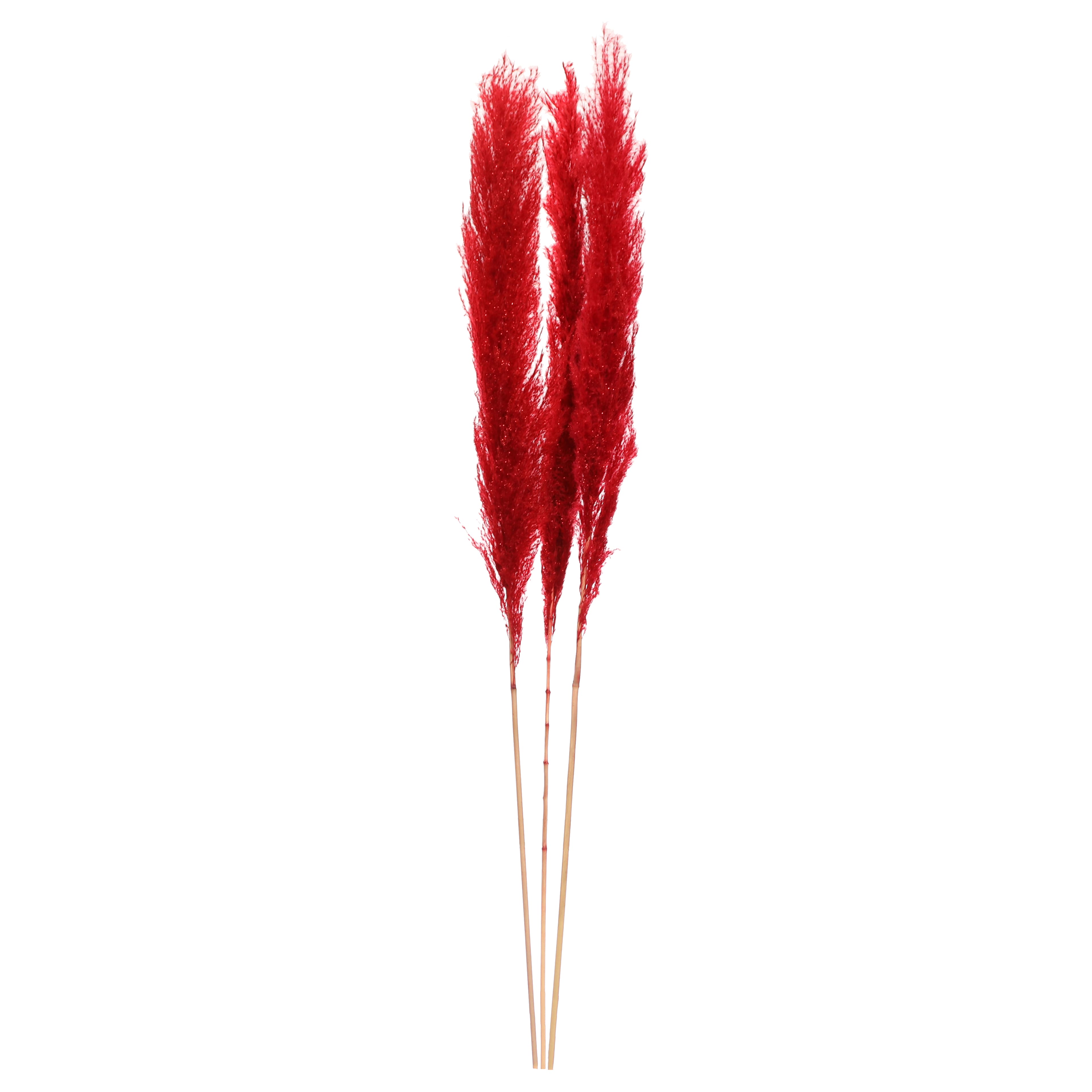 3.5ft. Red Glitter Pampas Bush by Ashland&#xAE;