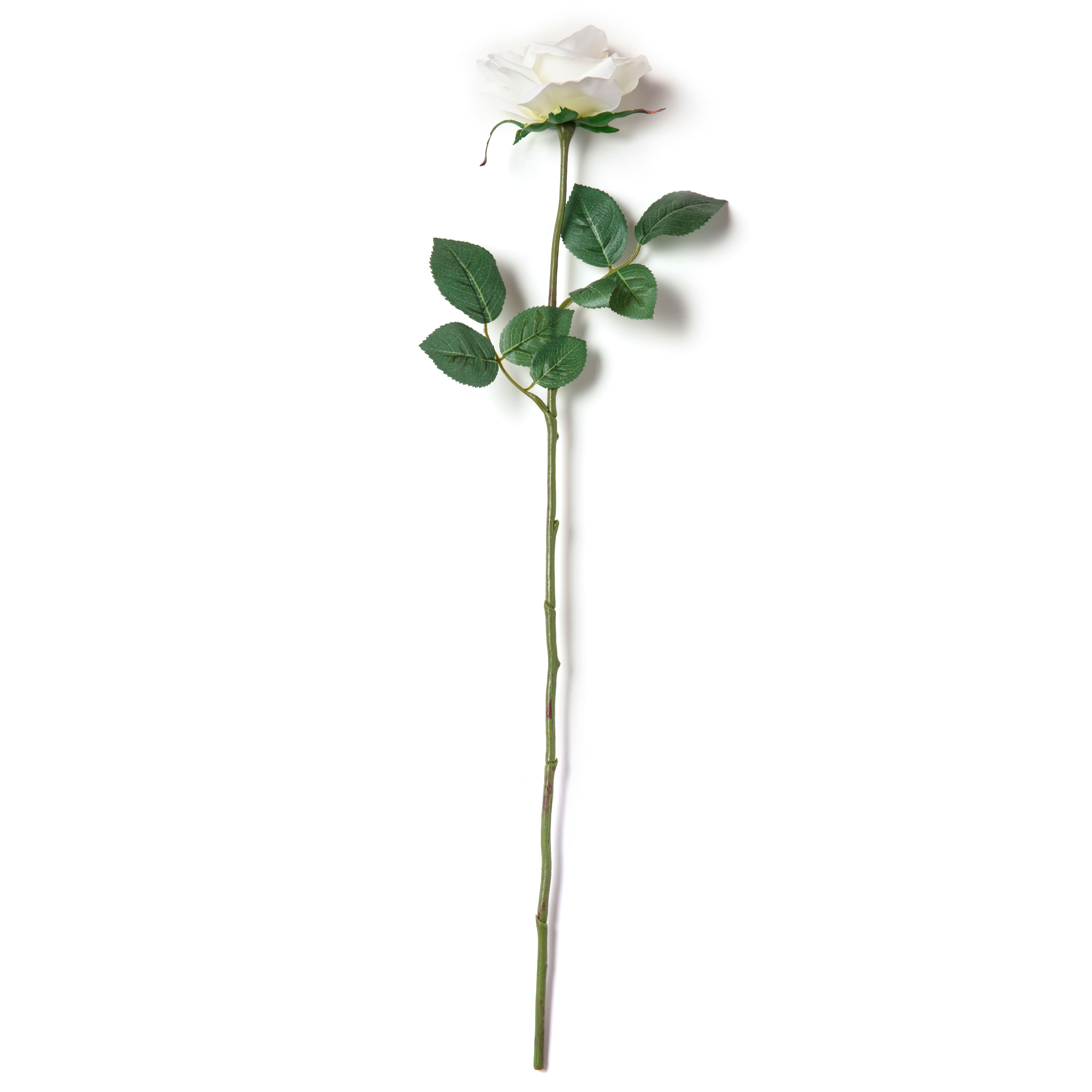 16 Pack: Ivory Princess Rose Stem by Ashland®