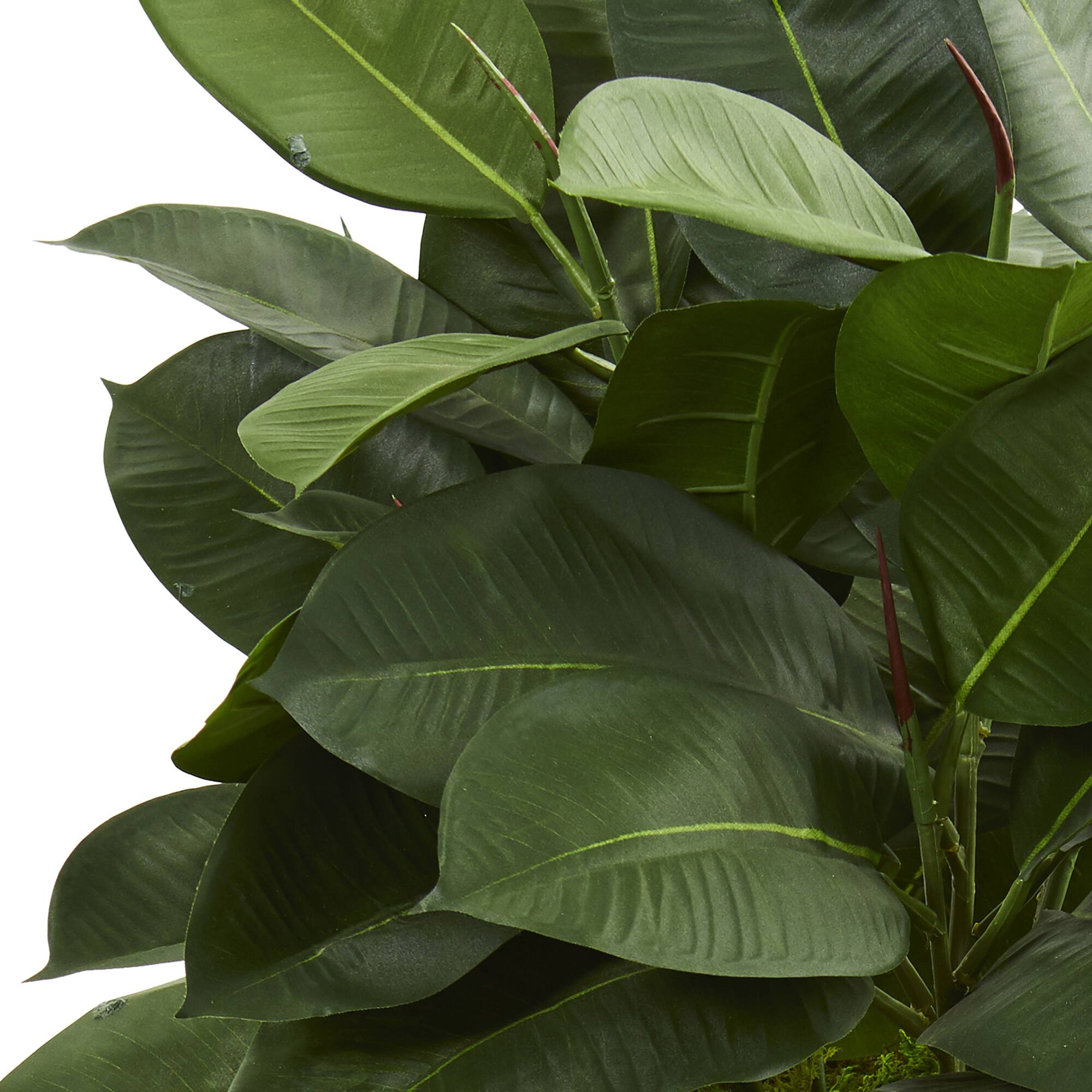 2ft. Artificial Rubber Plant in Stone Planter