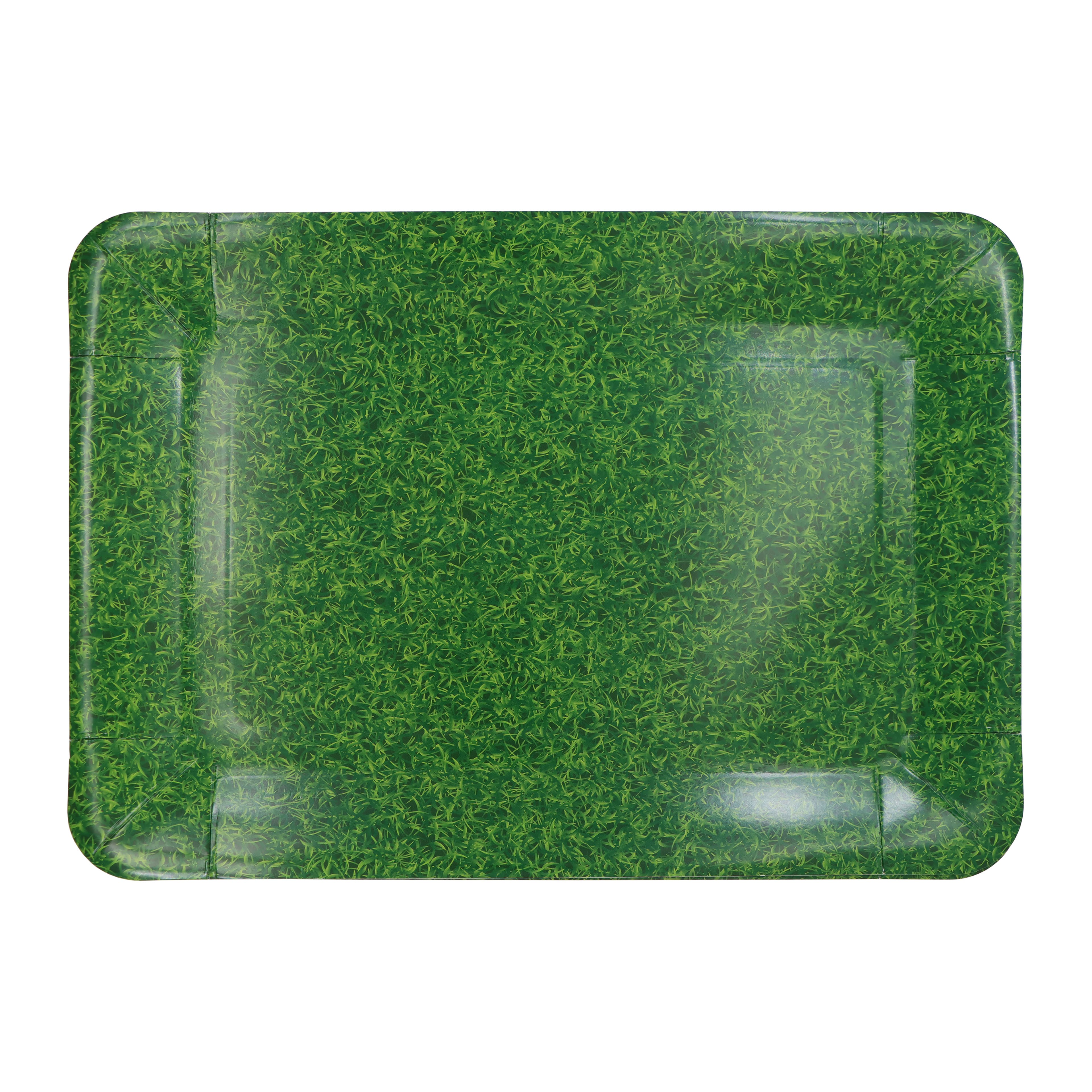 9" x 13" Grass Paper Trays, 2ct. by Celebrate It™