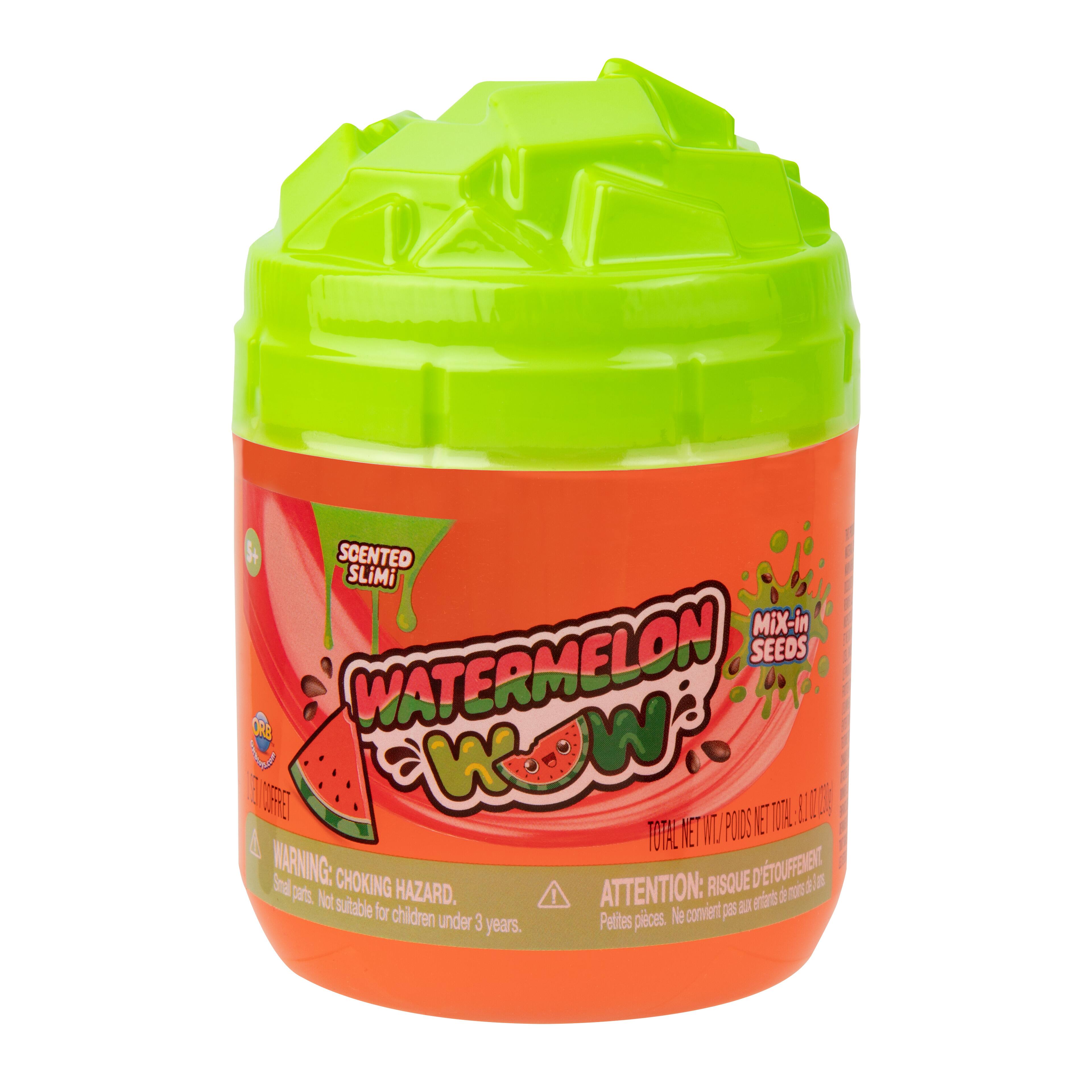 Orb™ Scented Watermelon Wow Slime with Seeds | Michaels