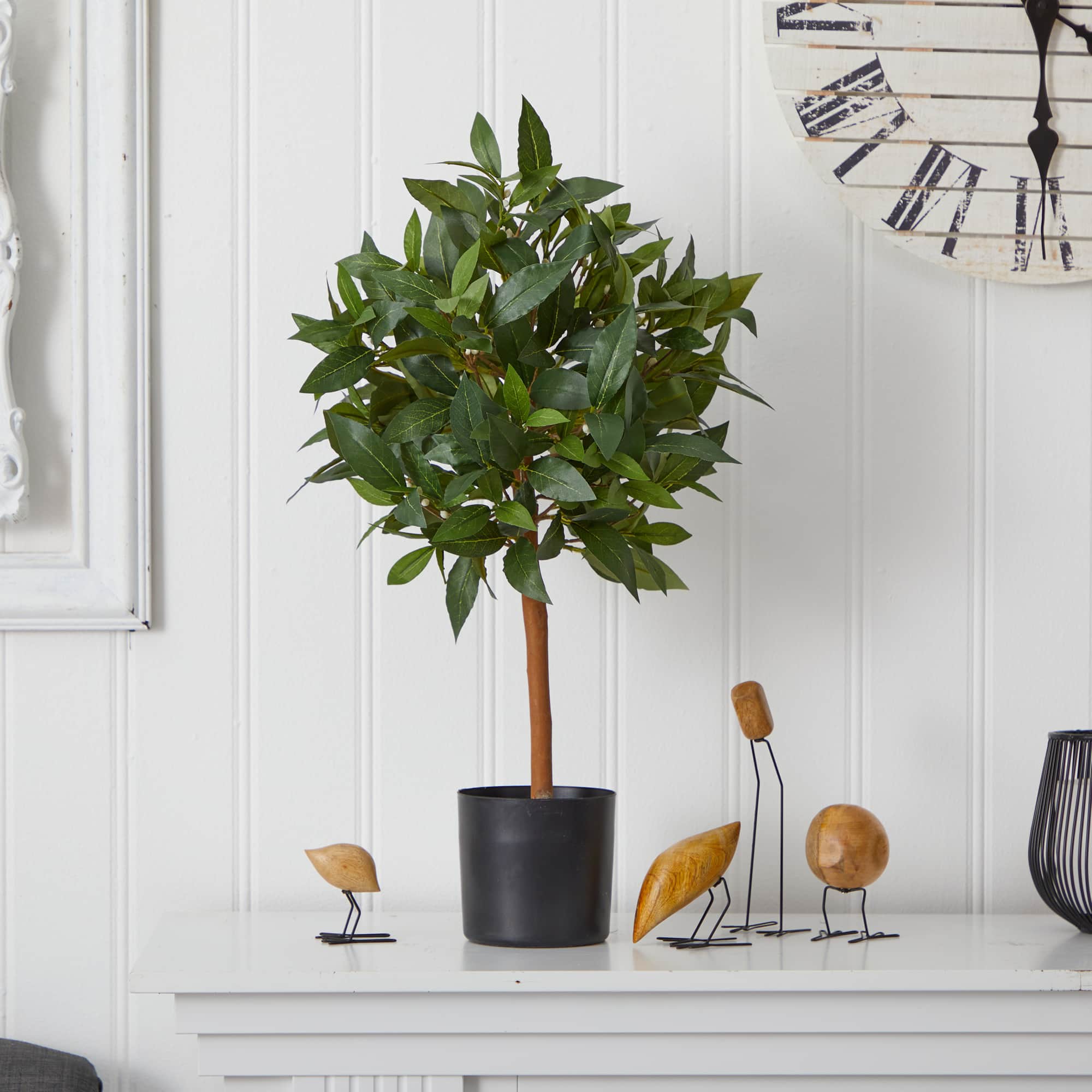 2ft. Potted Sweet Bay Mini Ball Topiary Tree