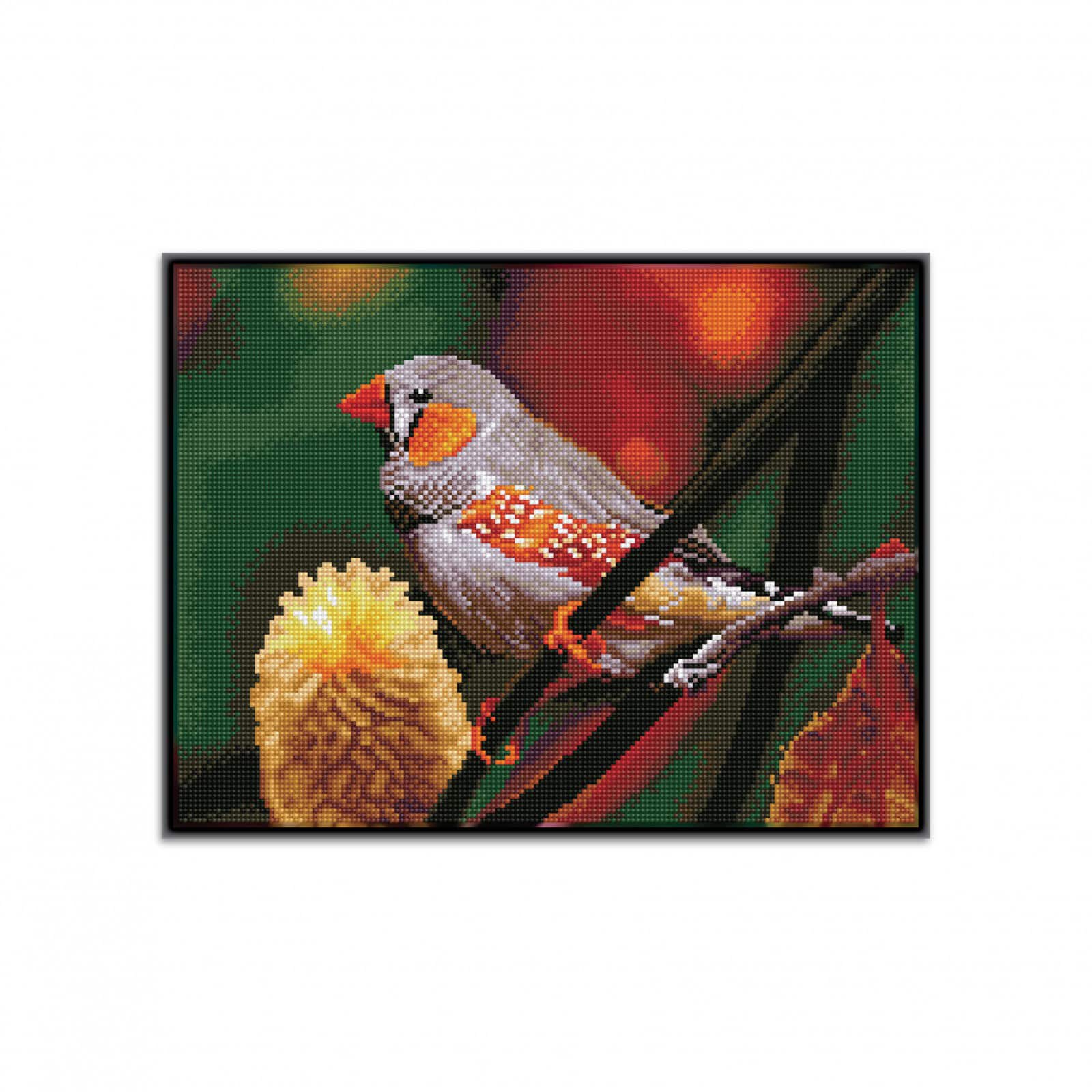 Diamond Dotz® Intermediate Gouldian Finch Pre-Framed Diamond Painting Kit