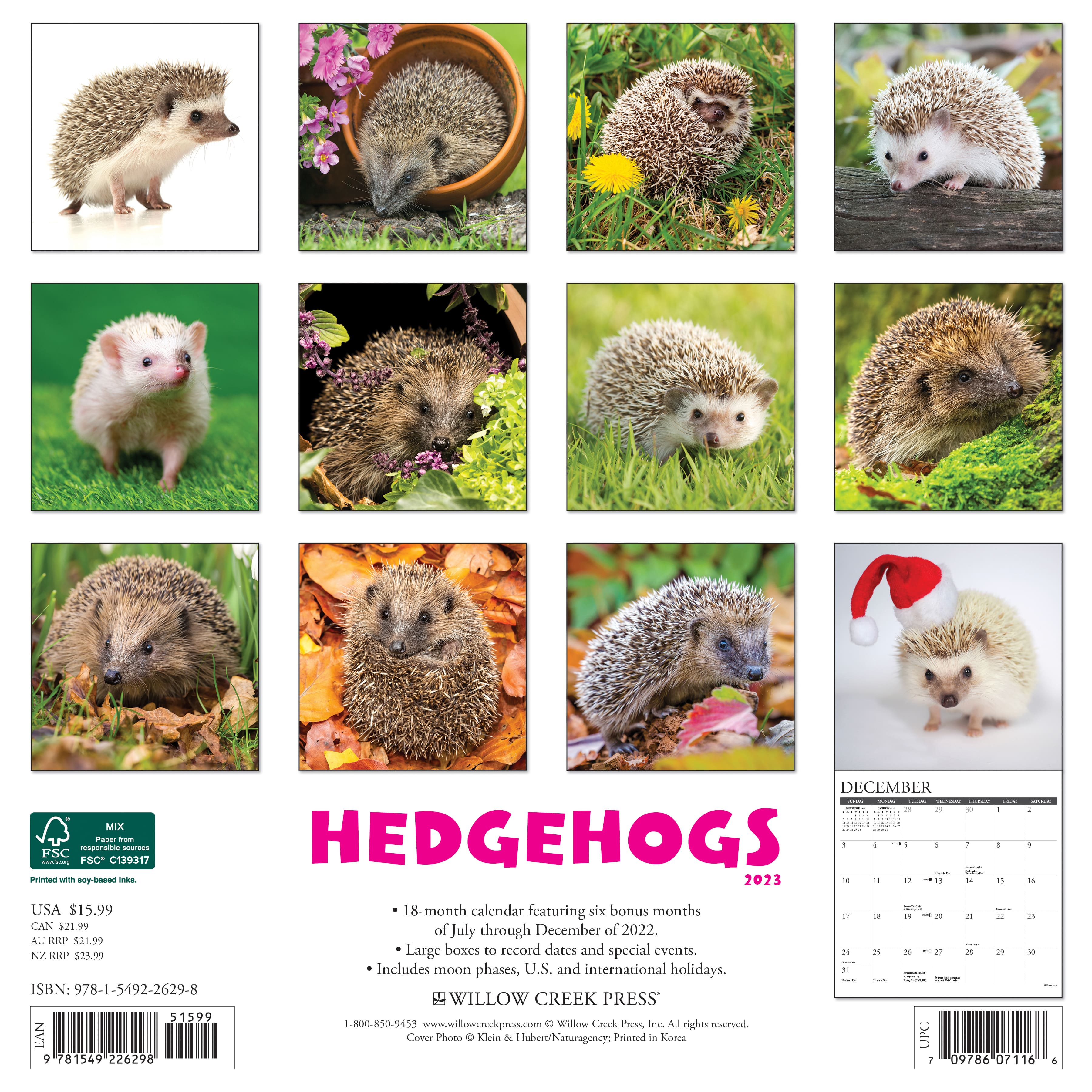 2023 Hedgehogs Wall Calendar Wall Calendars Michaels