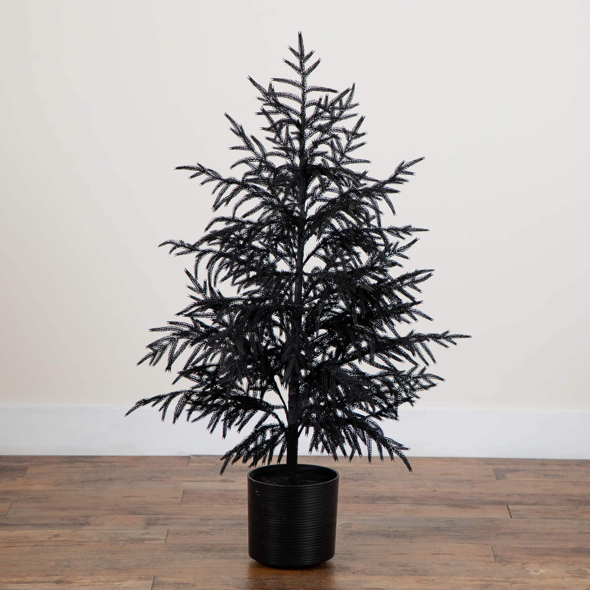 4ft. Artificial Halloween Real Touch Black Norfolk Pine Christmas Tree with Natural Look