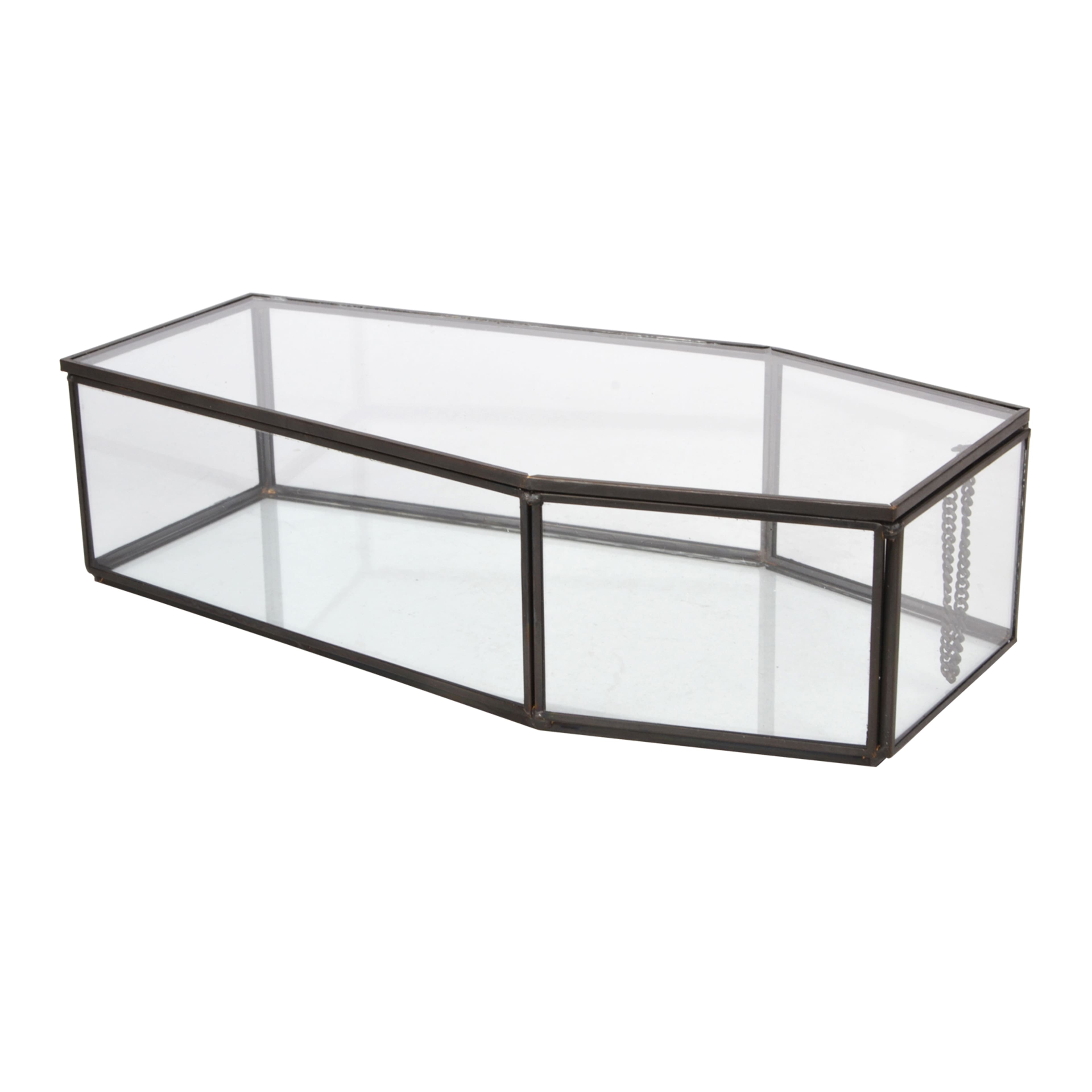 Coffin Terrarium by Ashland&#xAE;