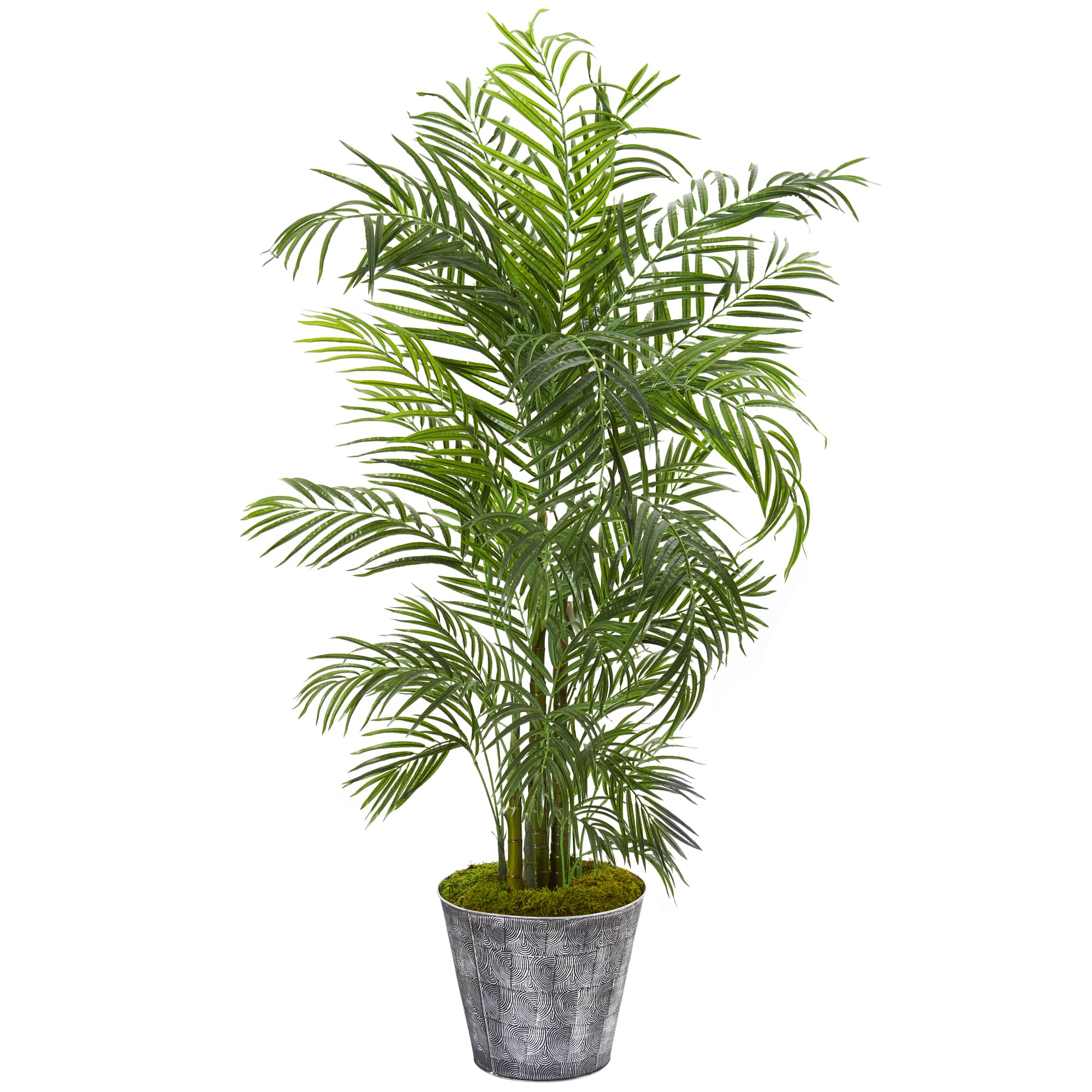 5.3ft. UV Resistant Areca Palm Tree in Decorative Planter