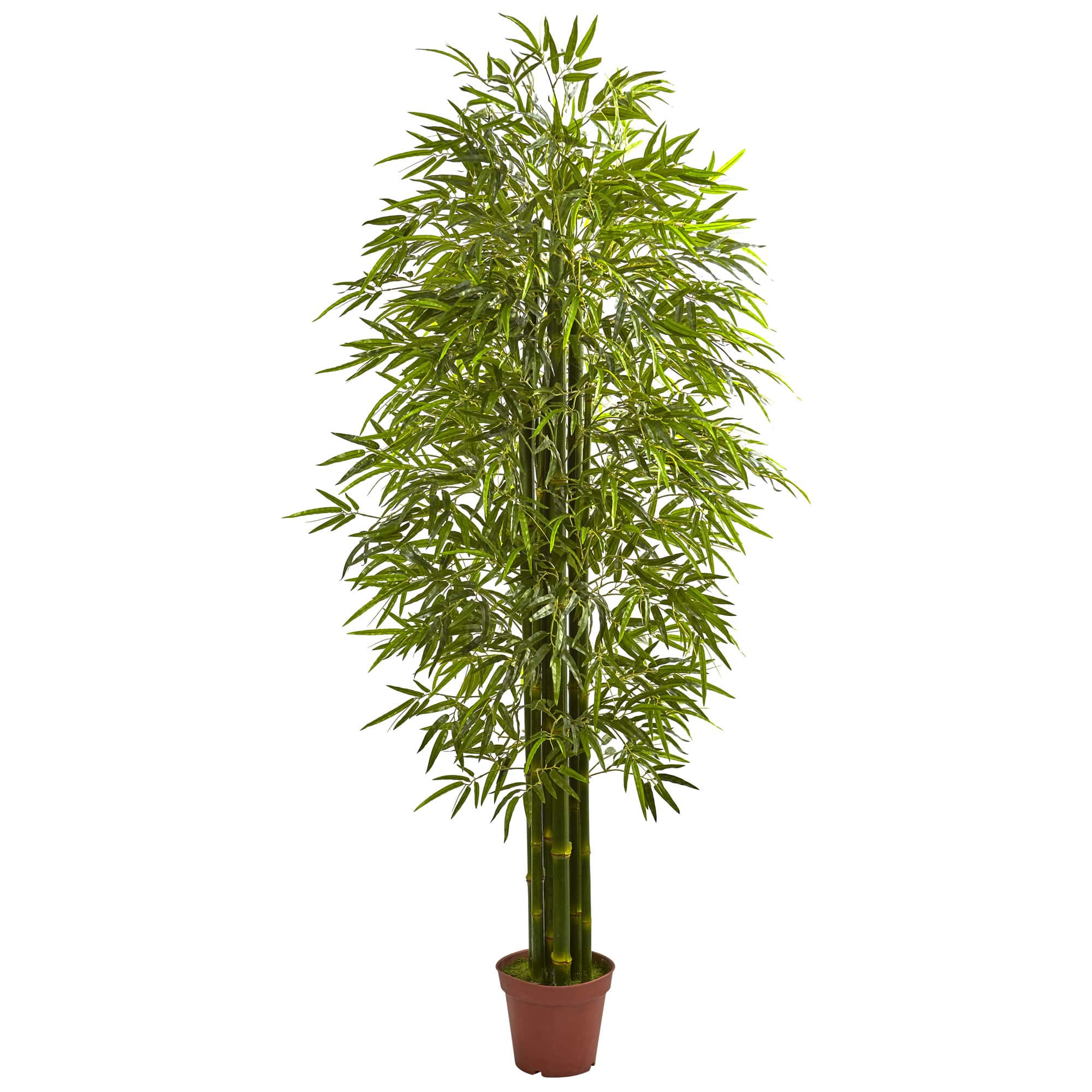 7ft. Potted Bamboo Tree | Michaels