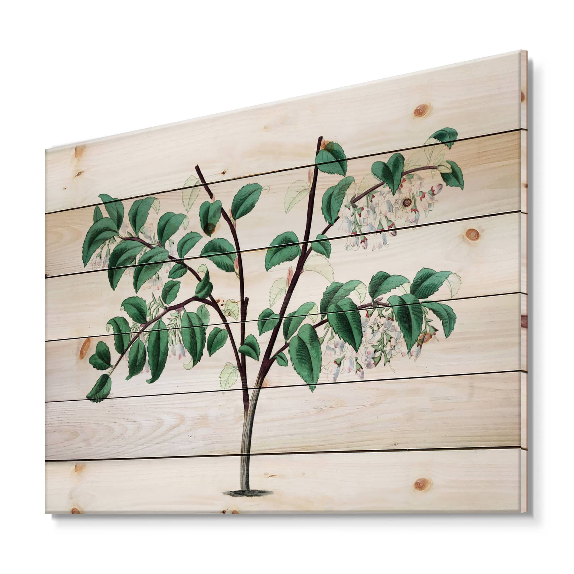 Designart - Vintage Green Leaves Plants I - Traditional Print on Natural Pine Wood