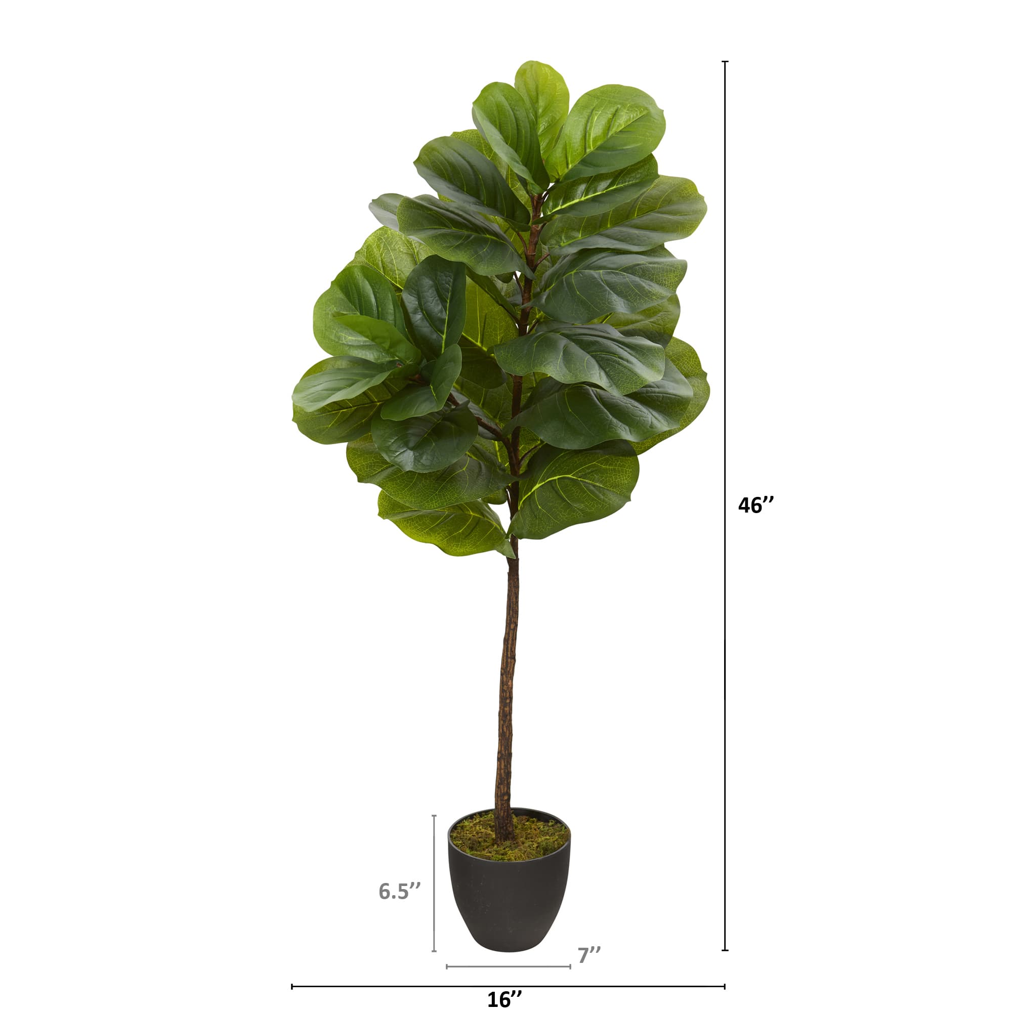 4ft. Potted Fiddle Leaf Tree
