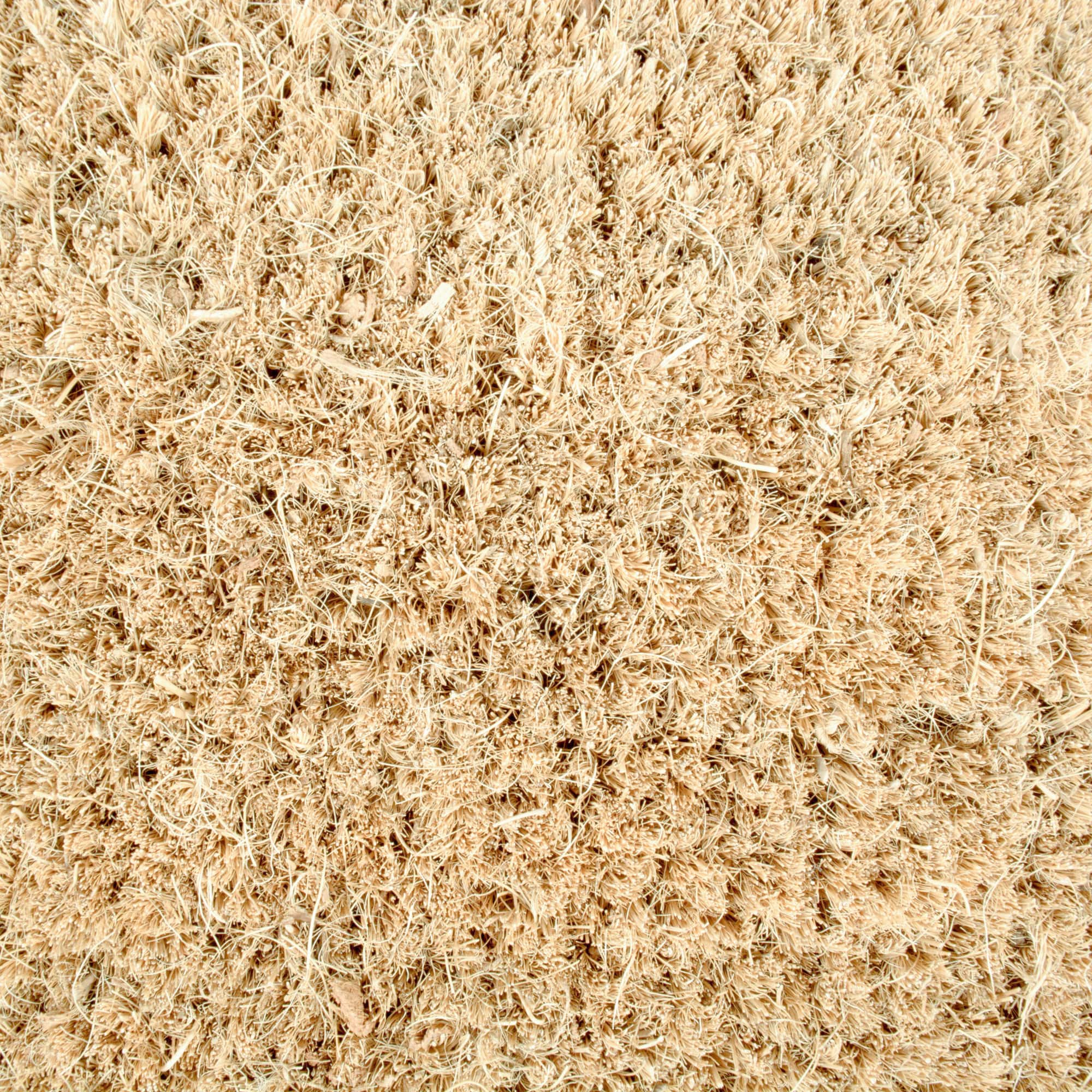 DII® Merry Christmas Trees Doormat