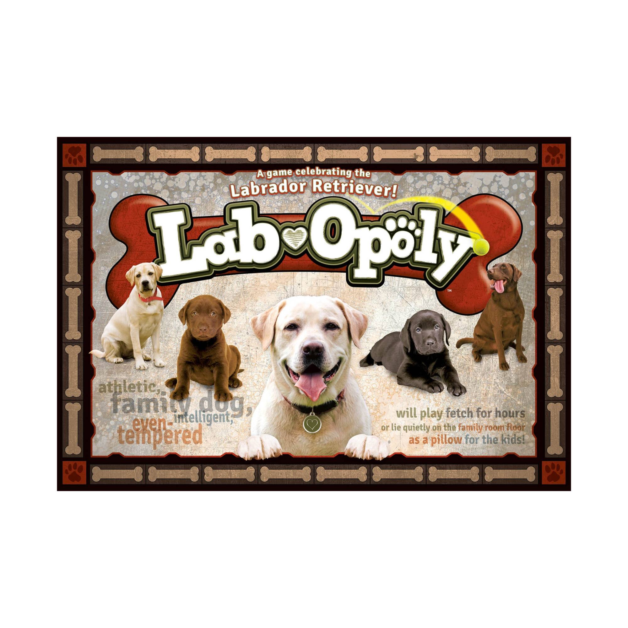 Late For The Sky Lab-Opoly™ Board Game | Michaels