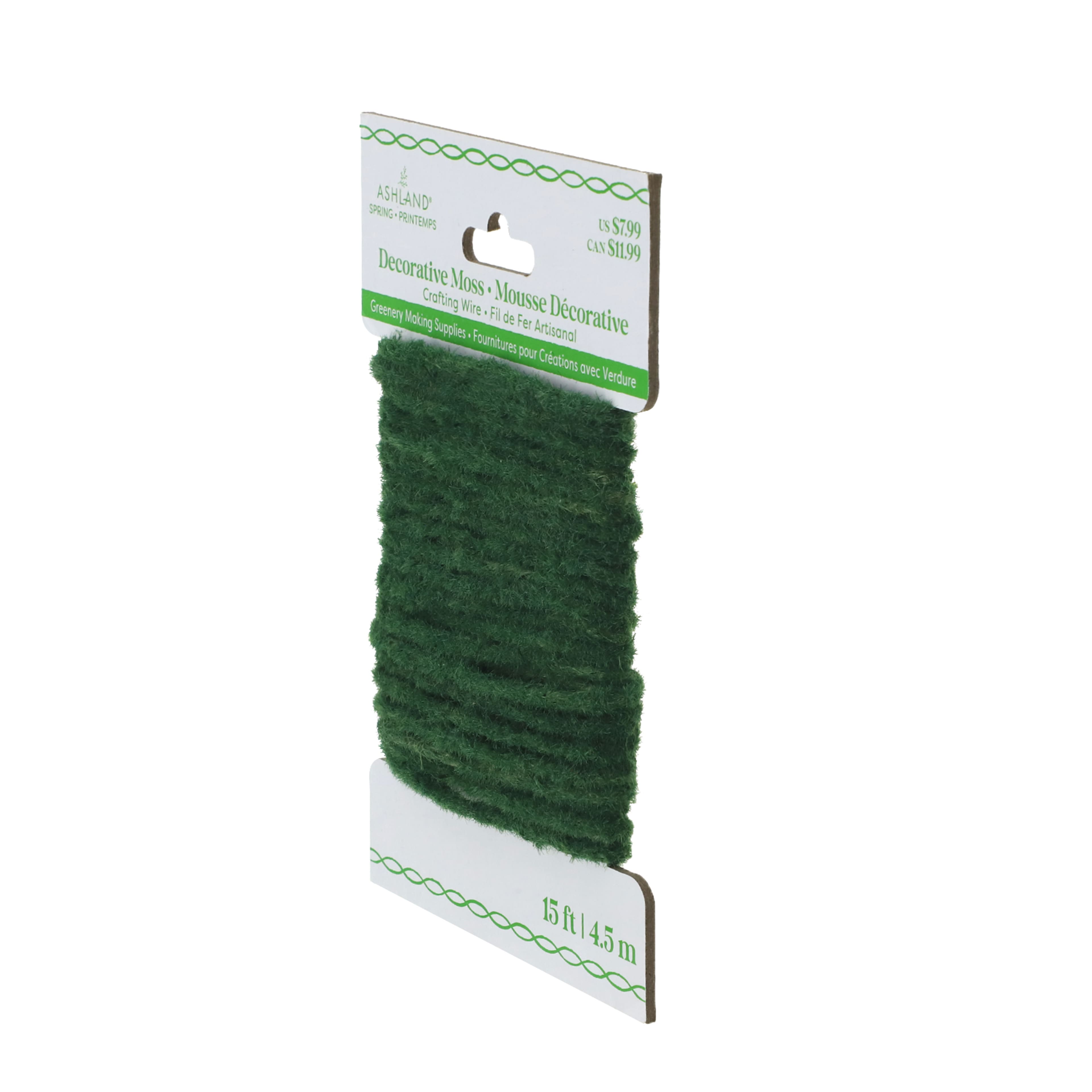 15ft. Decorative Moss Crafting Wire by Ashland&#xAE;