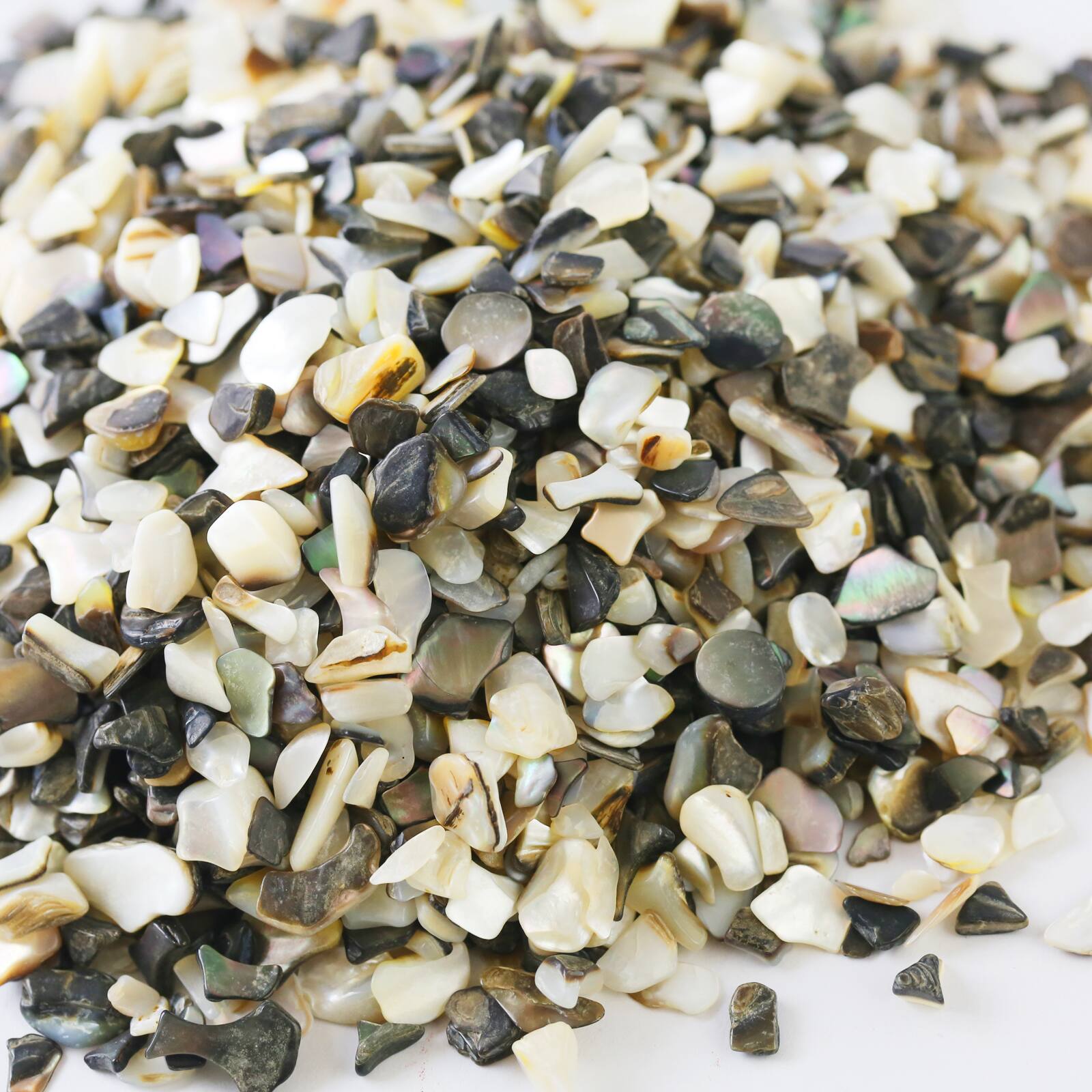 12 Pack: Vunder™ Crushed Tuxedo Mother of Pearl Shells