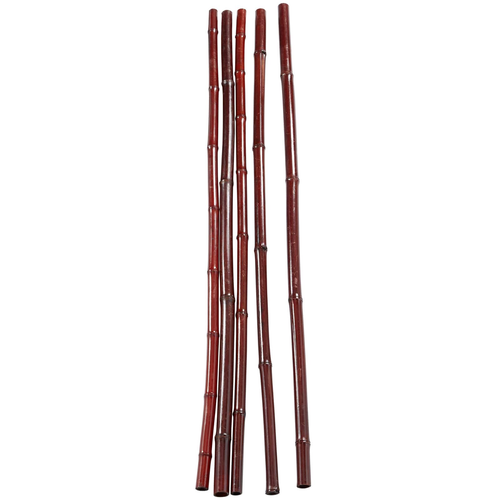 47&#x22; Dried Plant Sticks Natural Foliage