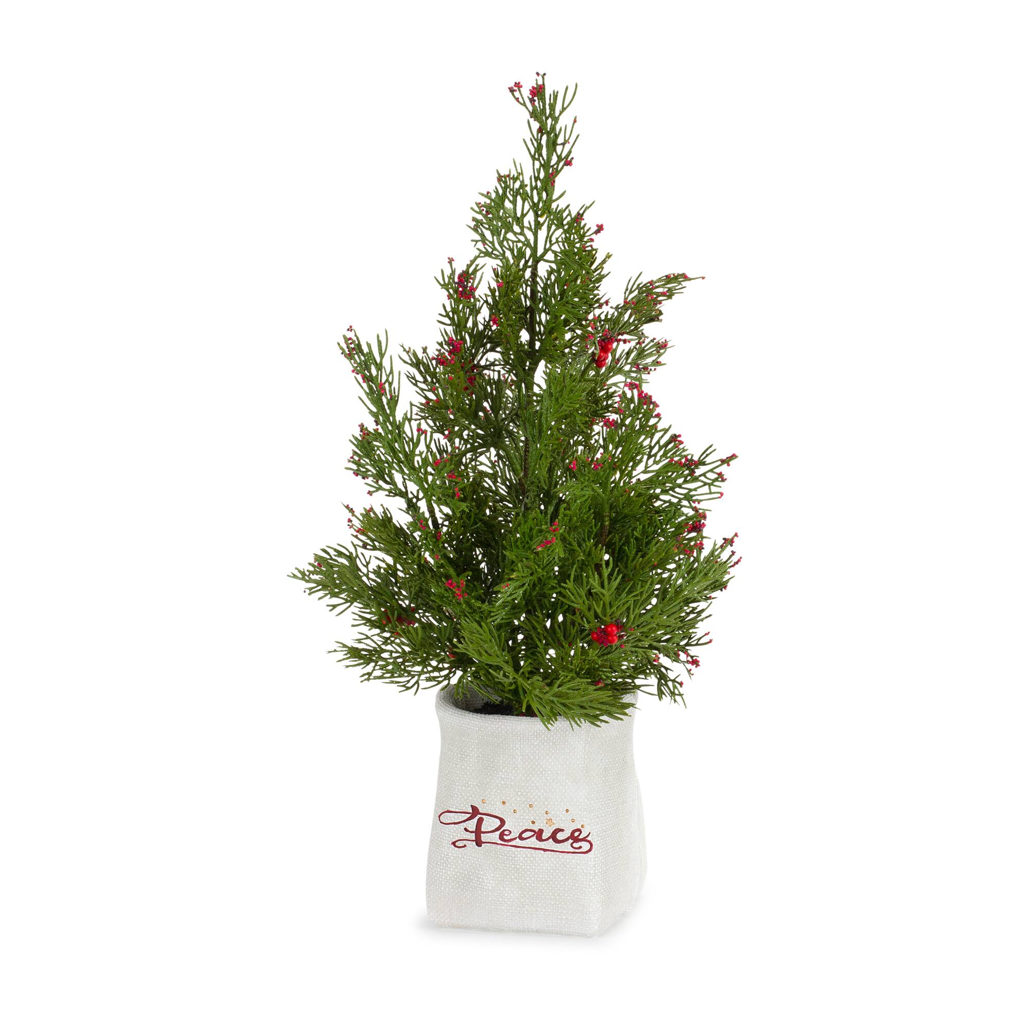 14.25&#x22; &#x26; 16.5&#x22; Unlit Pine Artificial Potted Christmas Tree Set