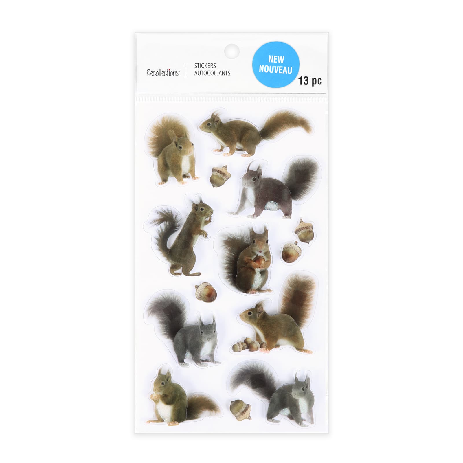 12 Pack: Squirrel Stickers by Recollections™