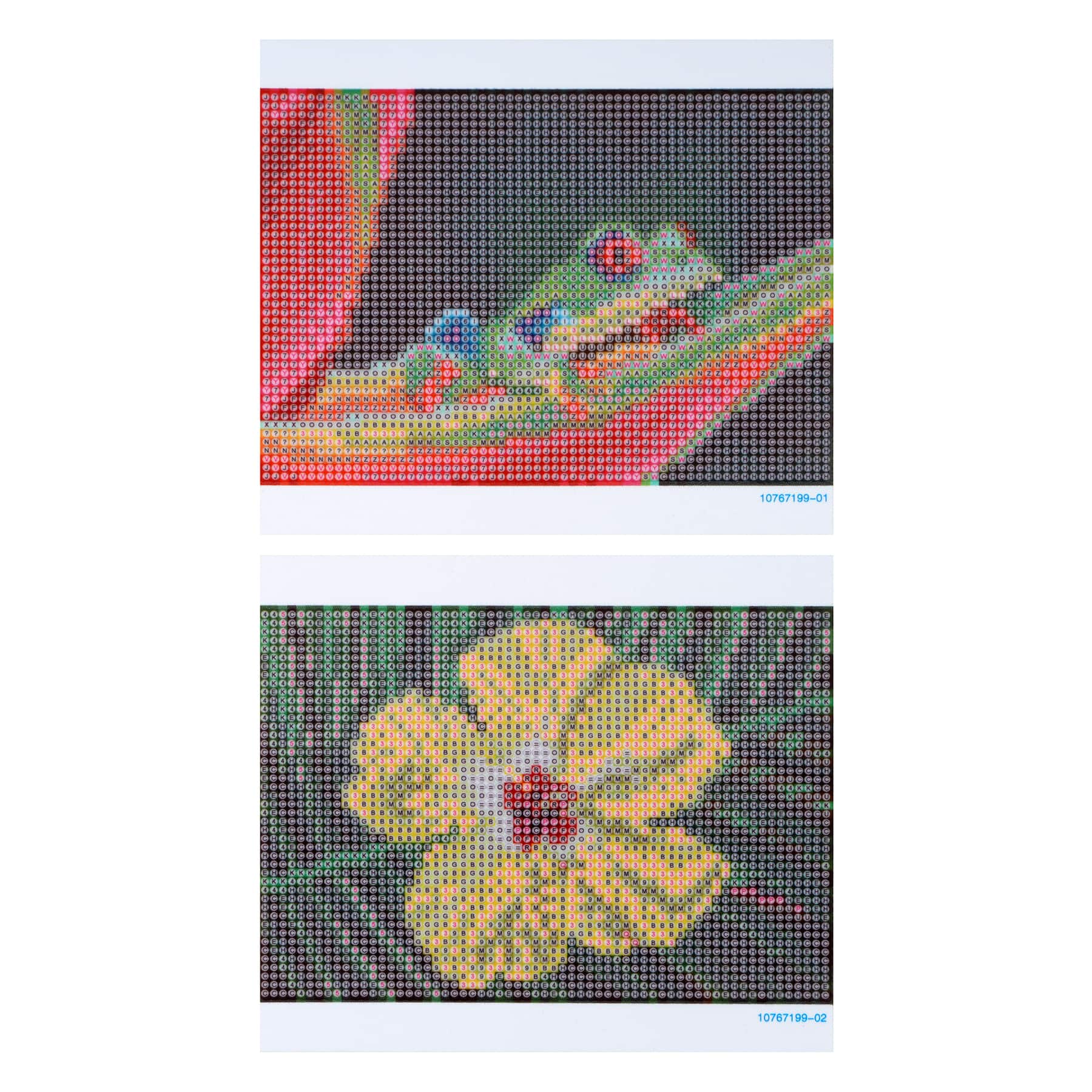 Frog &#x26; Flower Diamond Art Kit by Make Market&#xAE;