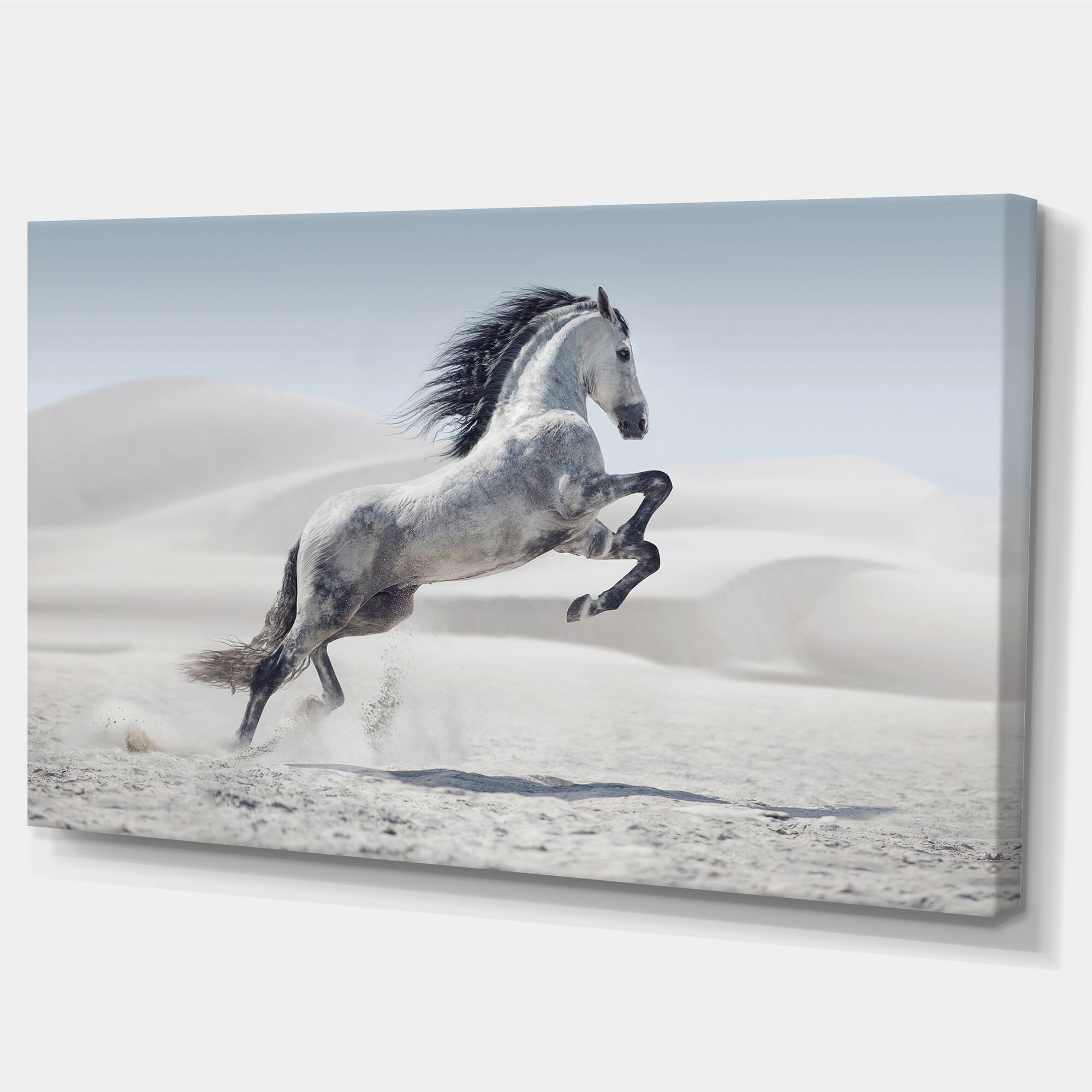 Designart - Galloping White Horse - Animal Canvas Wall Art