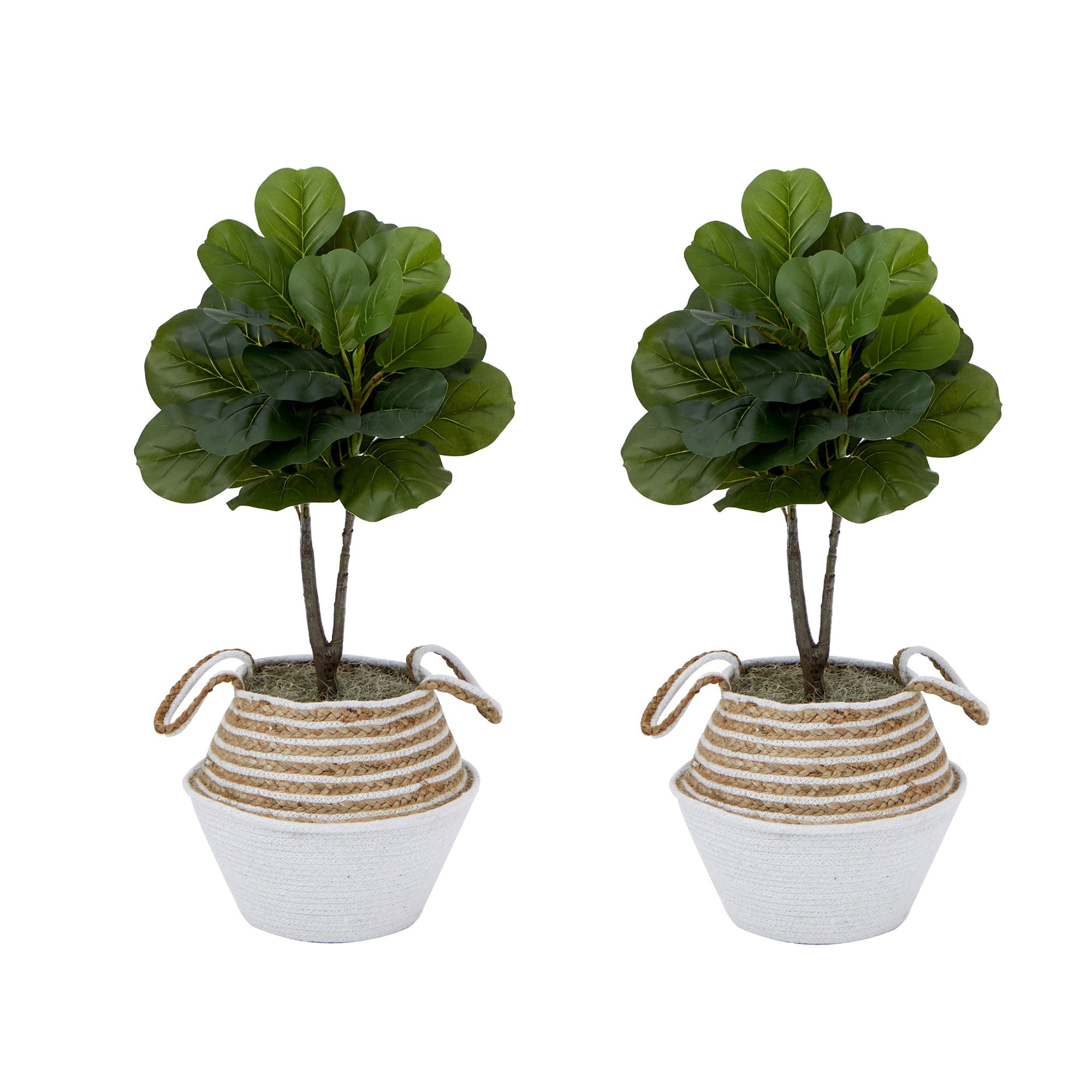 3ft. Artificial Fiddle Leaf Fig Tree With Handmade Cotton & Jute Woven Planter Set DIY Kit