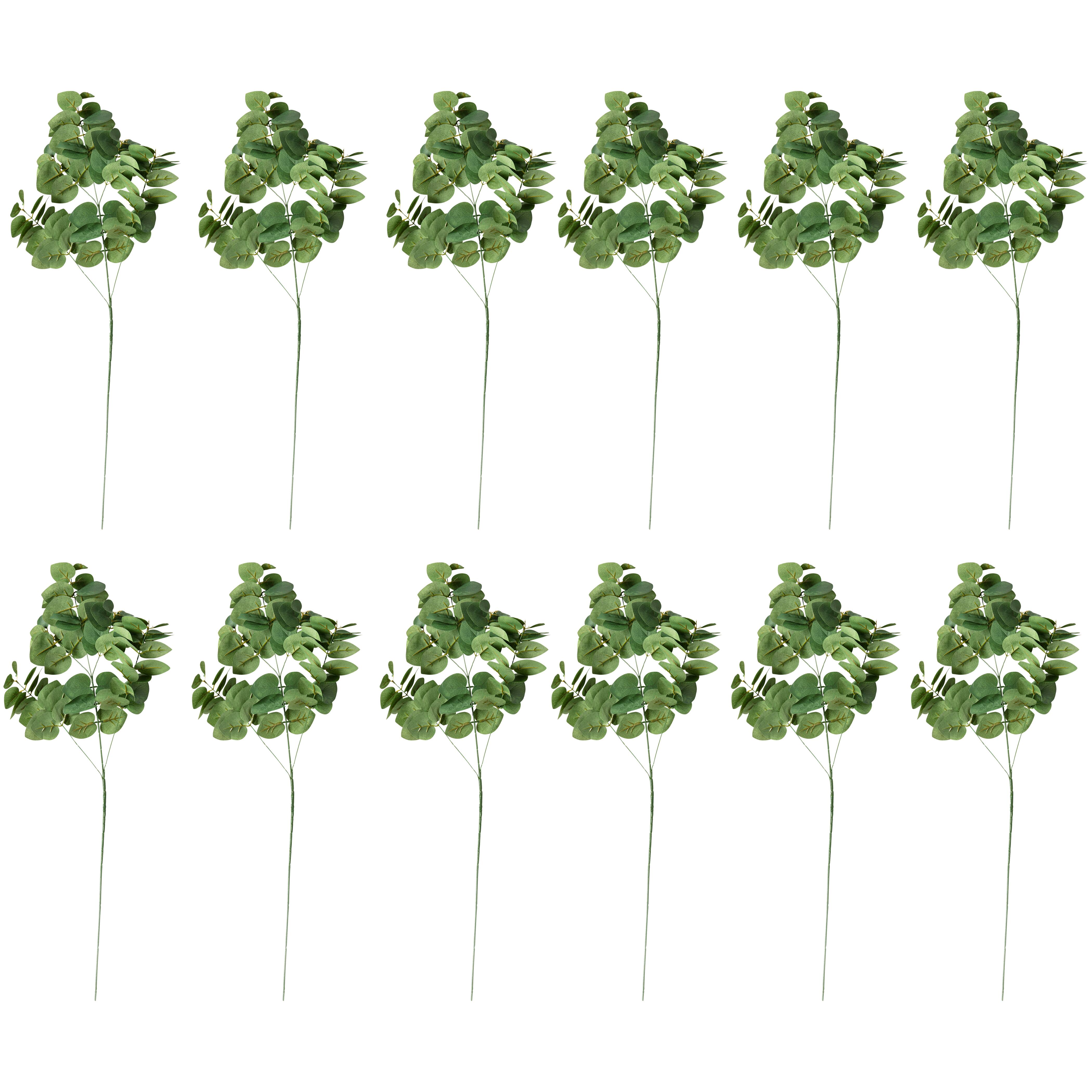 12 Pack: Green Eucalyptus Spray by Ashland®