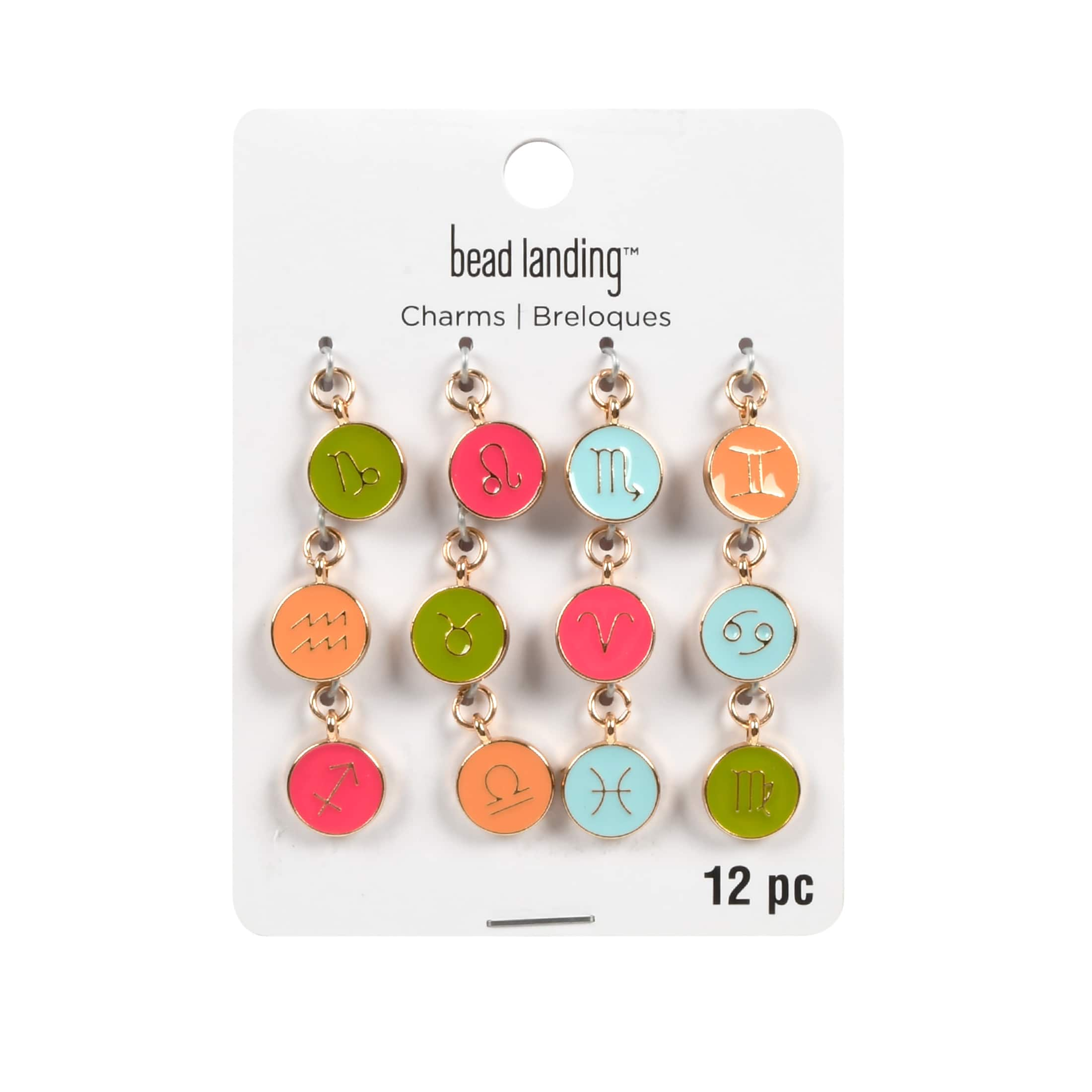 Zodiac Enamel Charm Set by Bead Landing&#x2122;