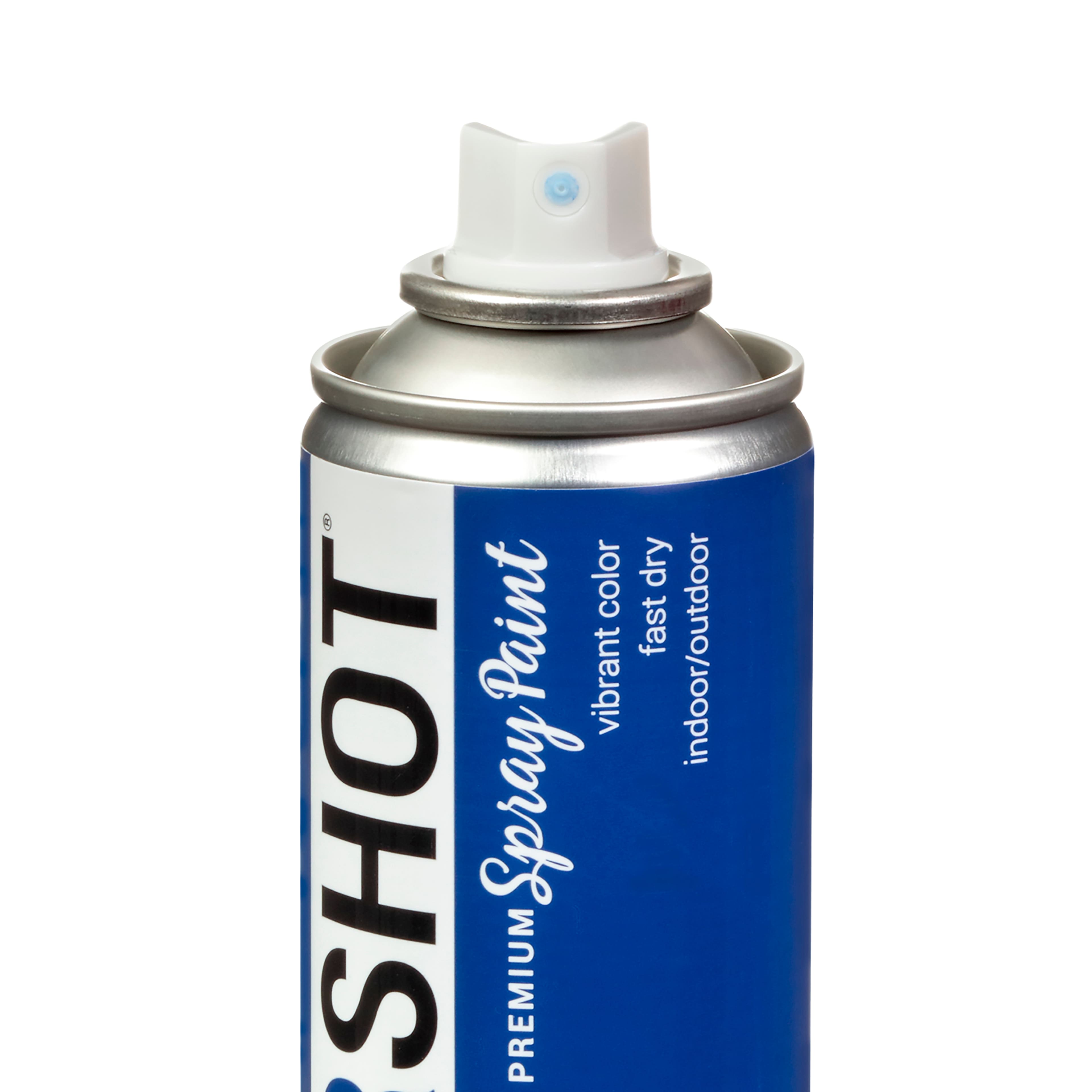 COLORSHOT&#xAE; Premium Gloss Spray Paint