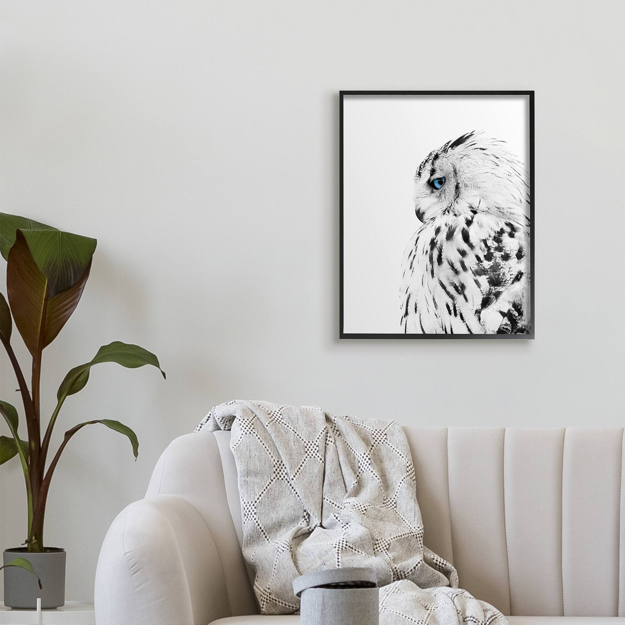 Stupell Industries Snow Owl White Feathers Peering Blue Eyes in Black Frame Wall Art