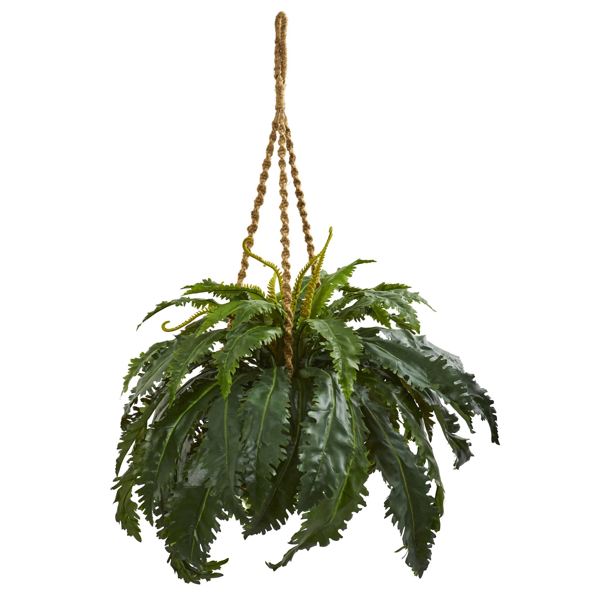 3ft. Marginatum Artificial Plant in Hanging Basket Potted Plants